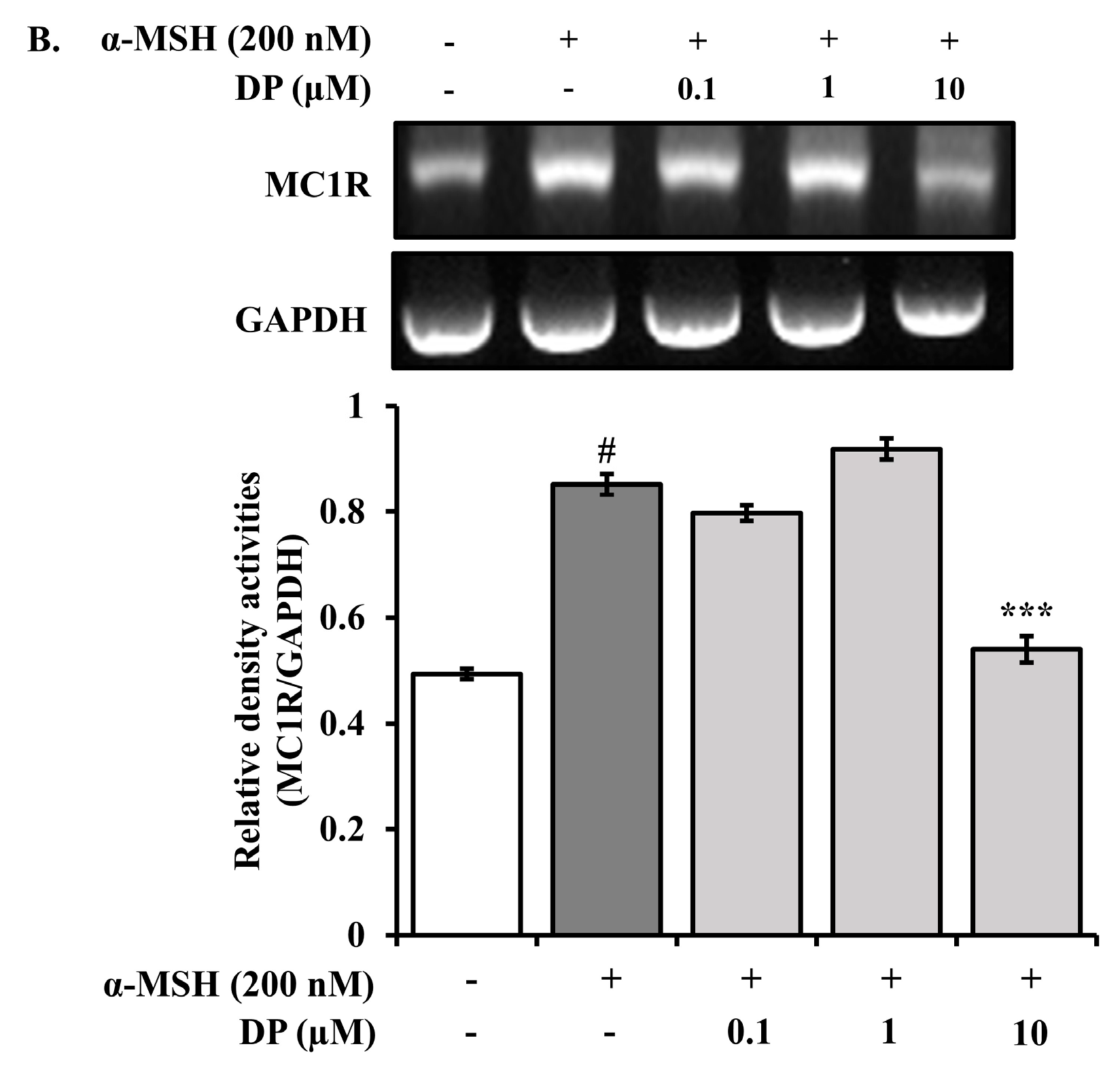 Marinedrugs 22 00374 g008b