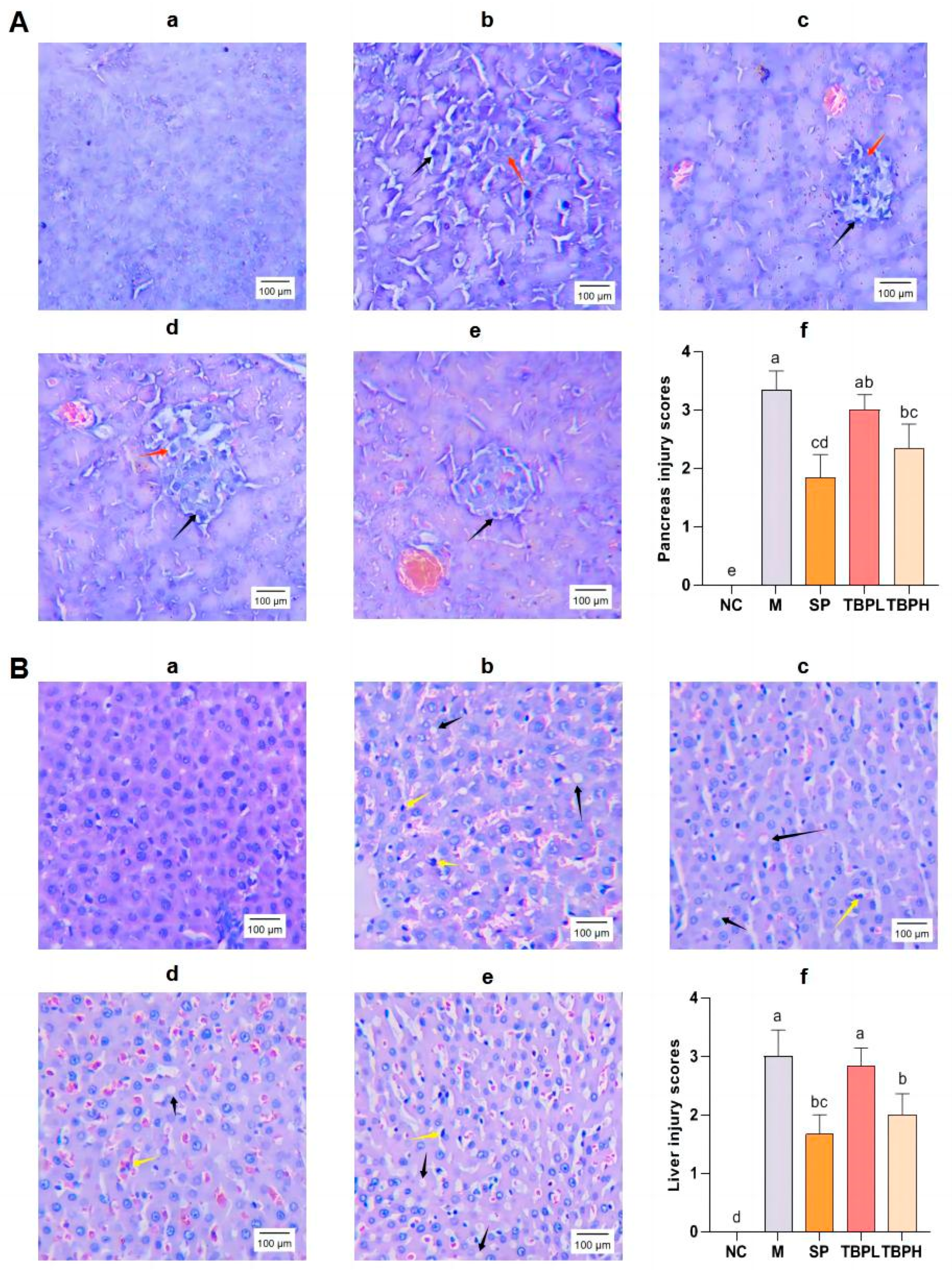 Marinedrugs 22 00377 g003