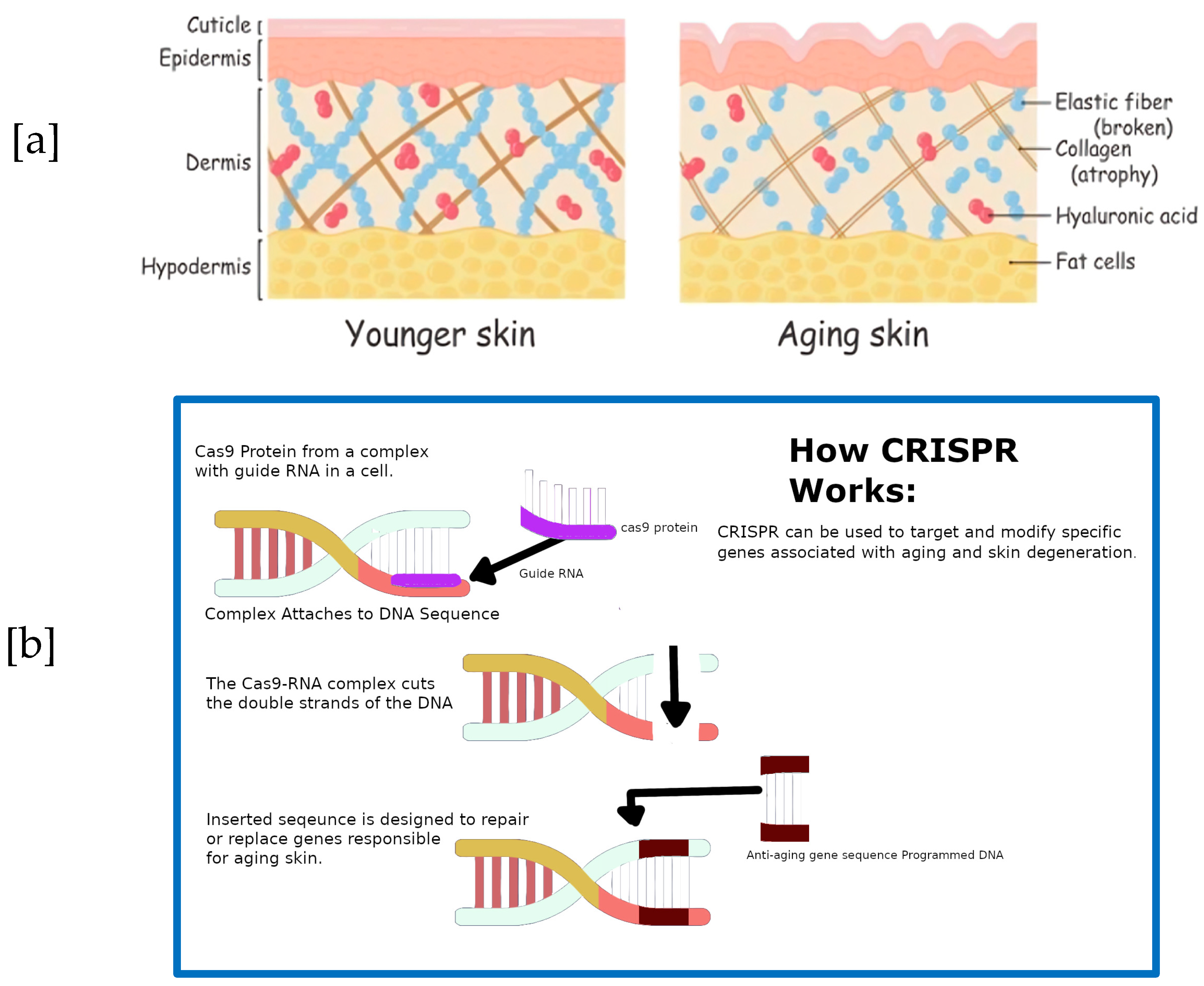 Marinedrugs 22 00379 g003