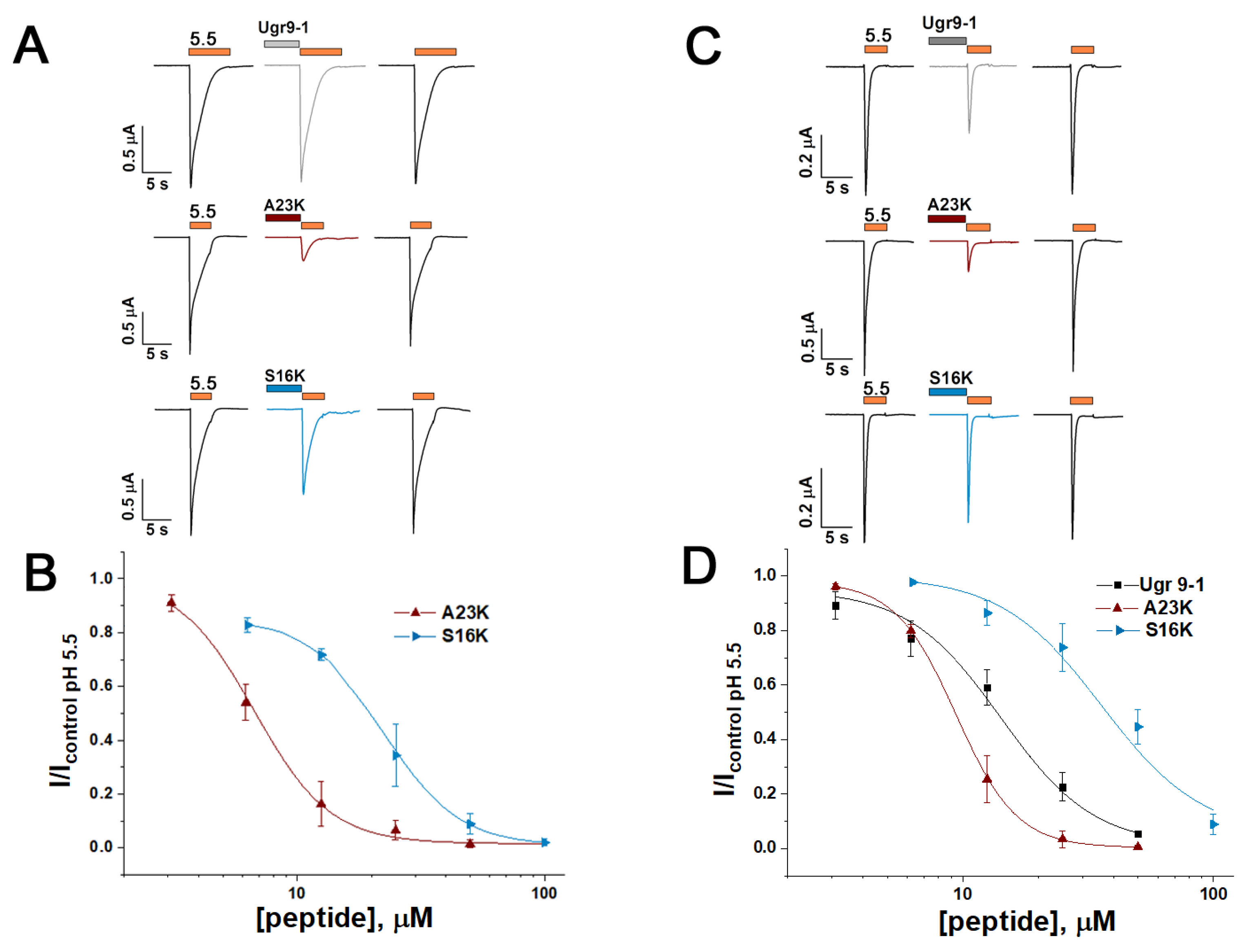 Marinedrugs 22 00382 g003 Marinedrugs 22 00382 g003