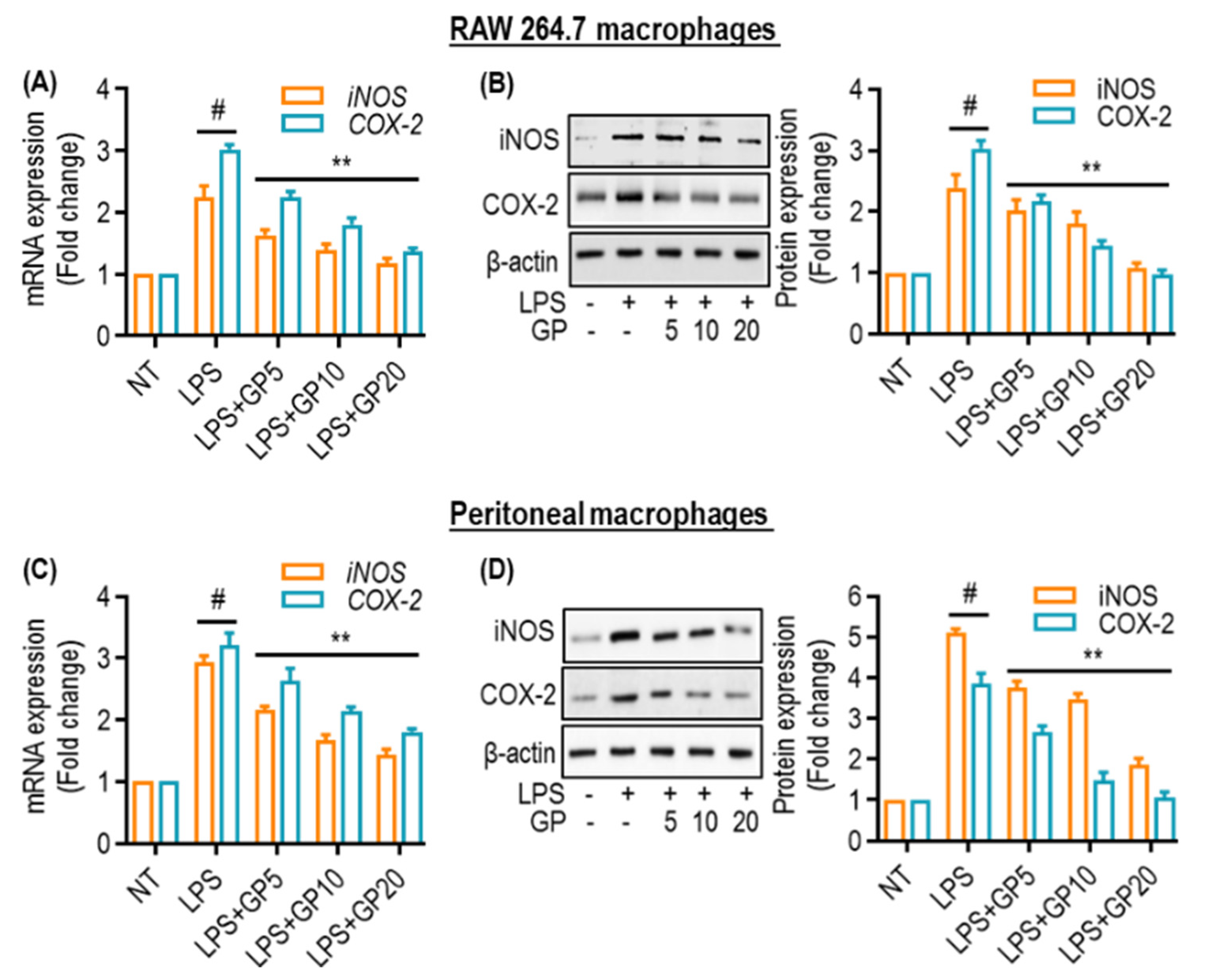Marinedrugs 22 00383 g002