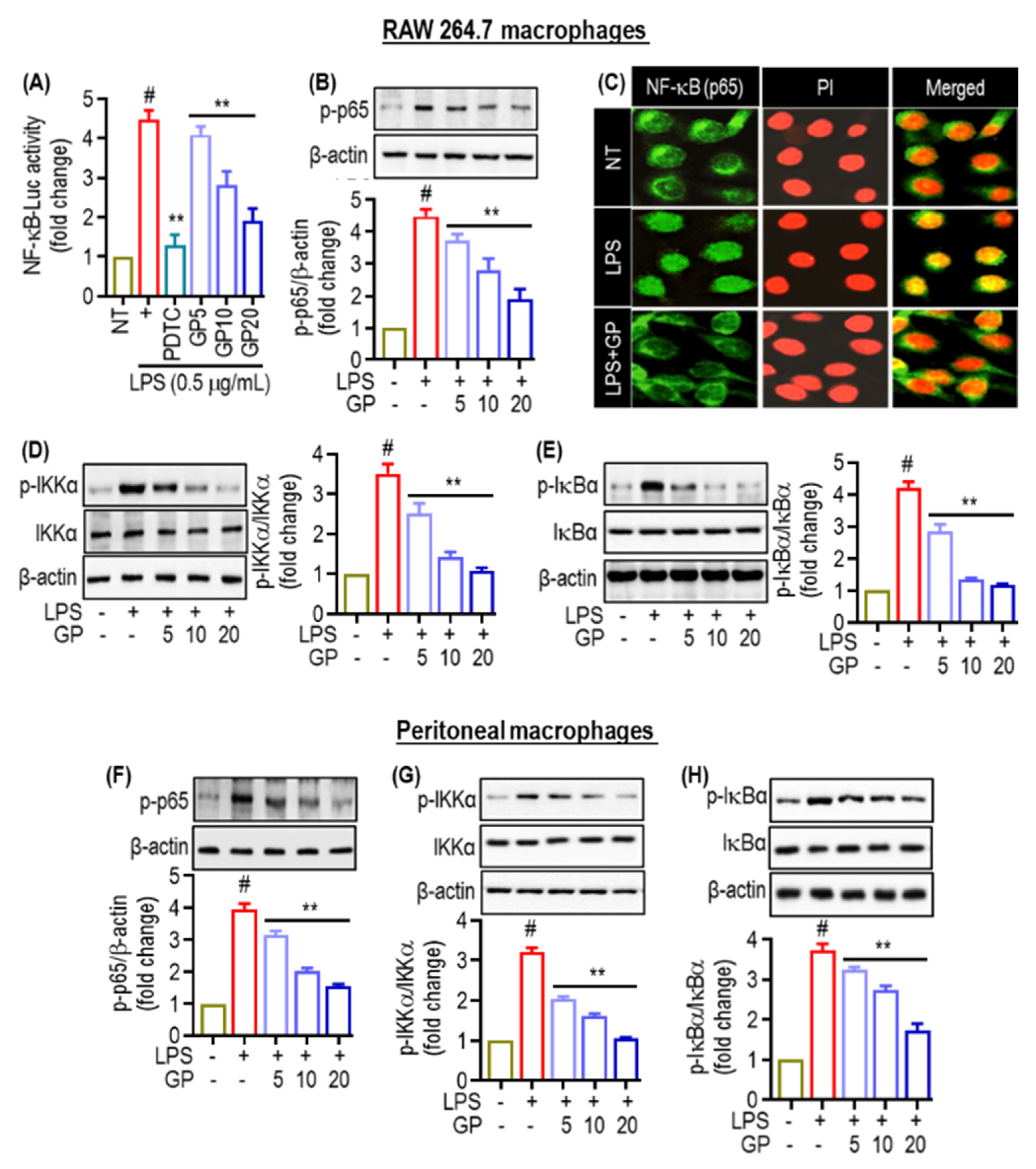 Marinedrugs 22 00383 g004