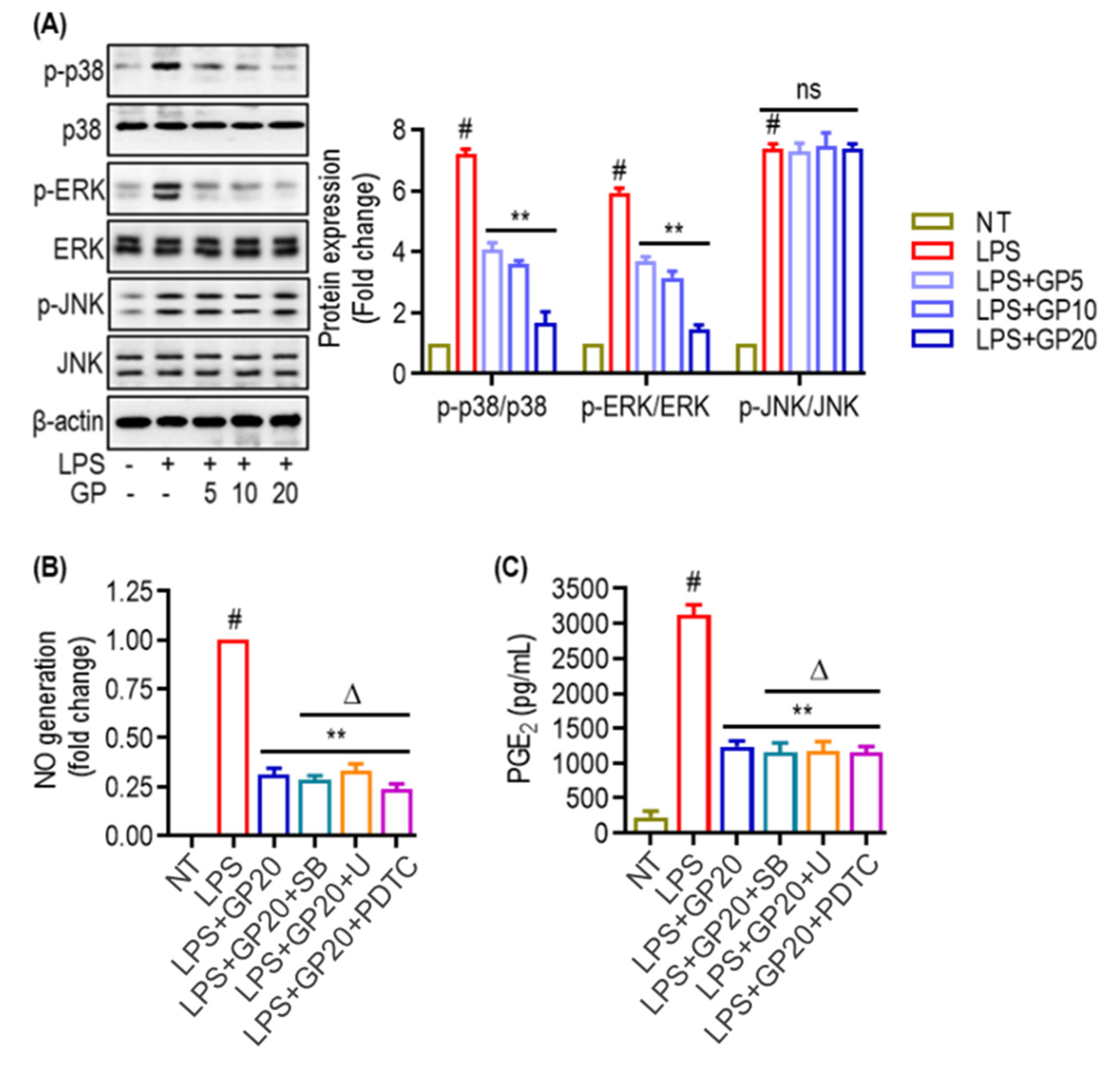 Marinedrugs 22 00383 g005