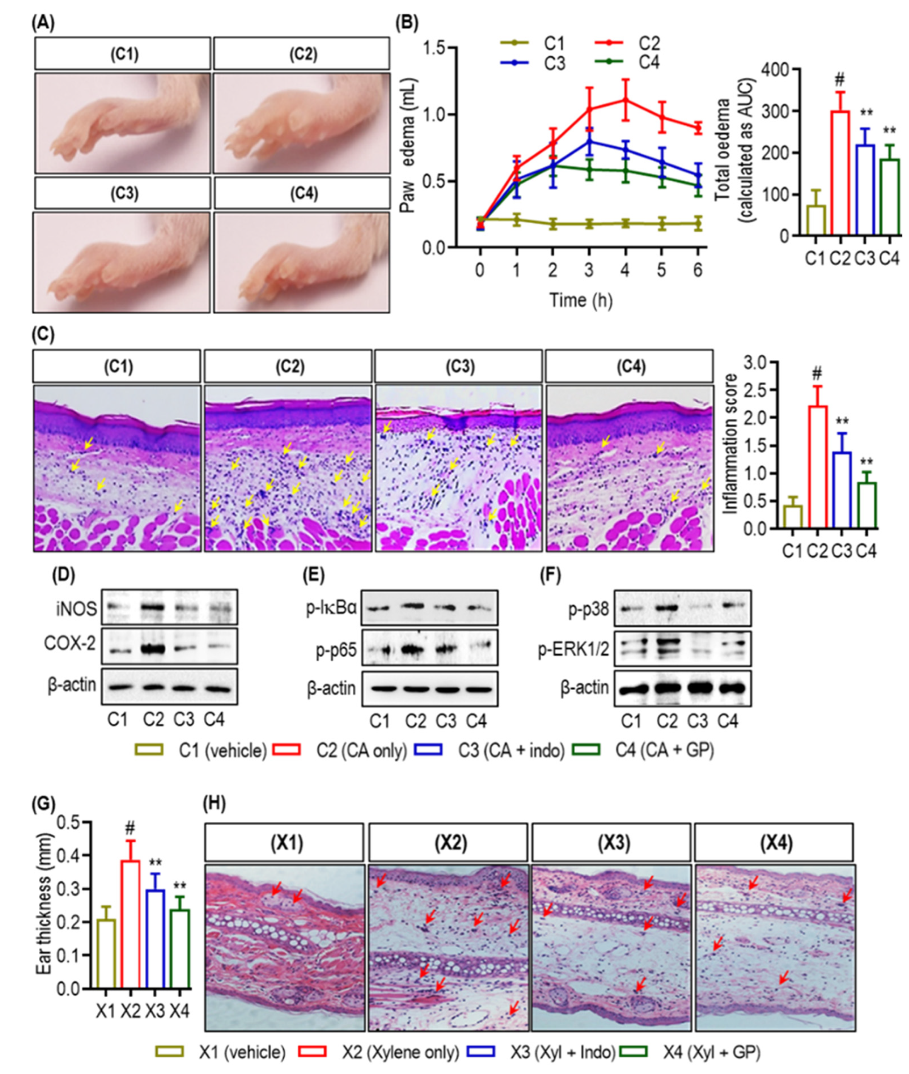 Marinedrugs 22 00383 g006