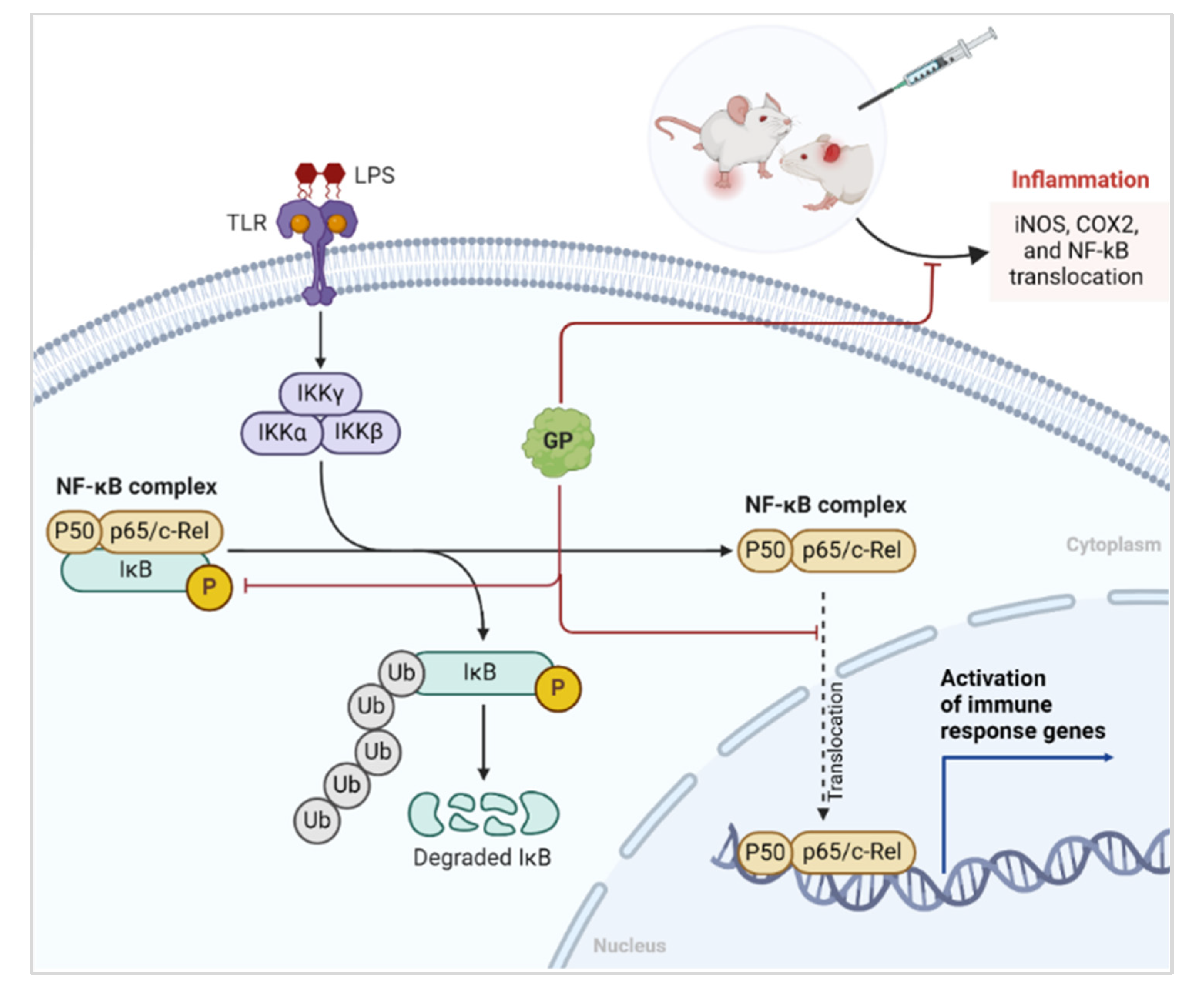 Marinedrugs 22 00383 g007