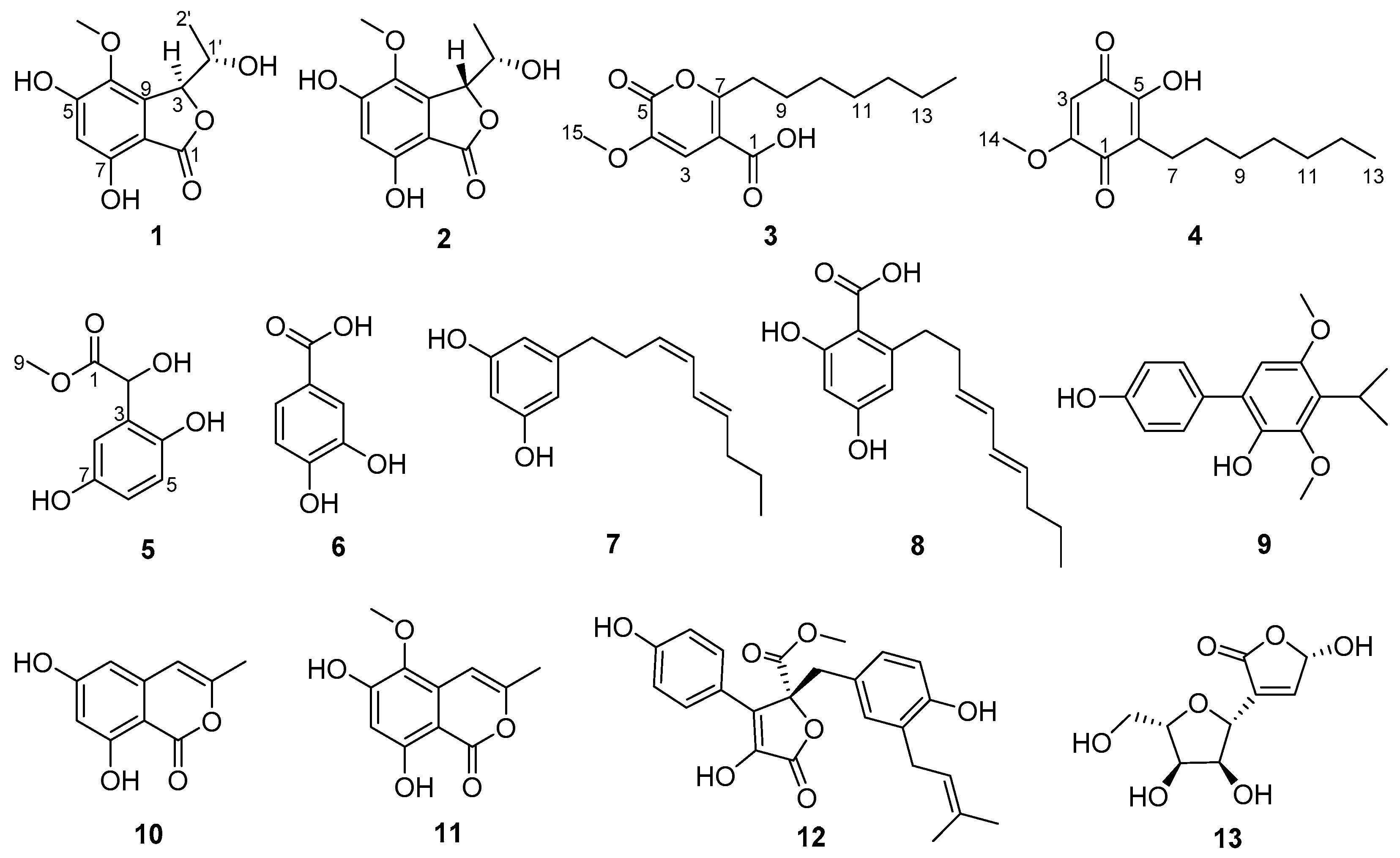 Marinedrugs 22 00384 g001