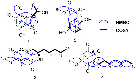 ＊·. nao .·＊ 08_07_17 - Hvijjyltmznzo-Mpjxnqn-Rssqmnptuvmvpwxmmxxjn