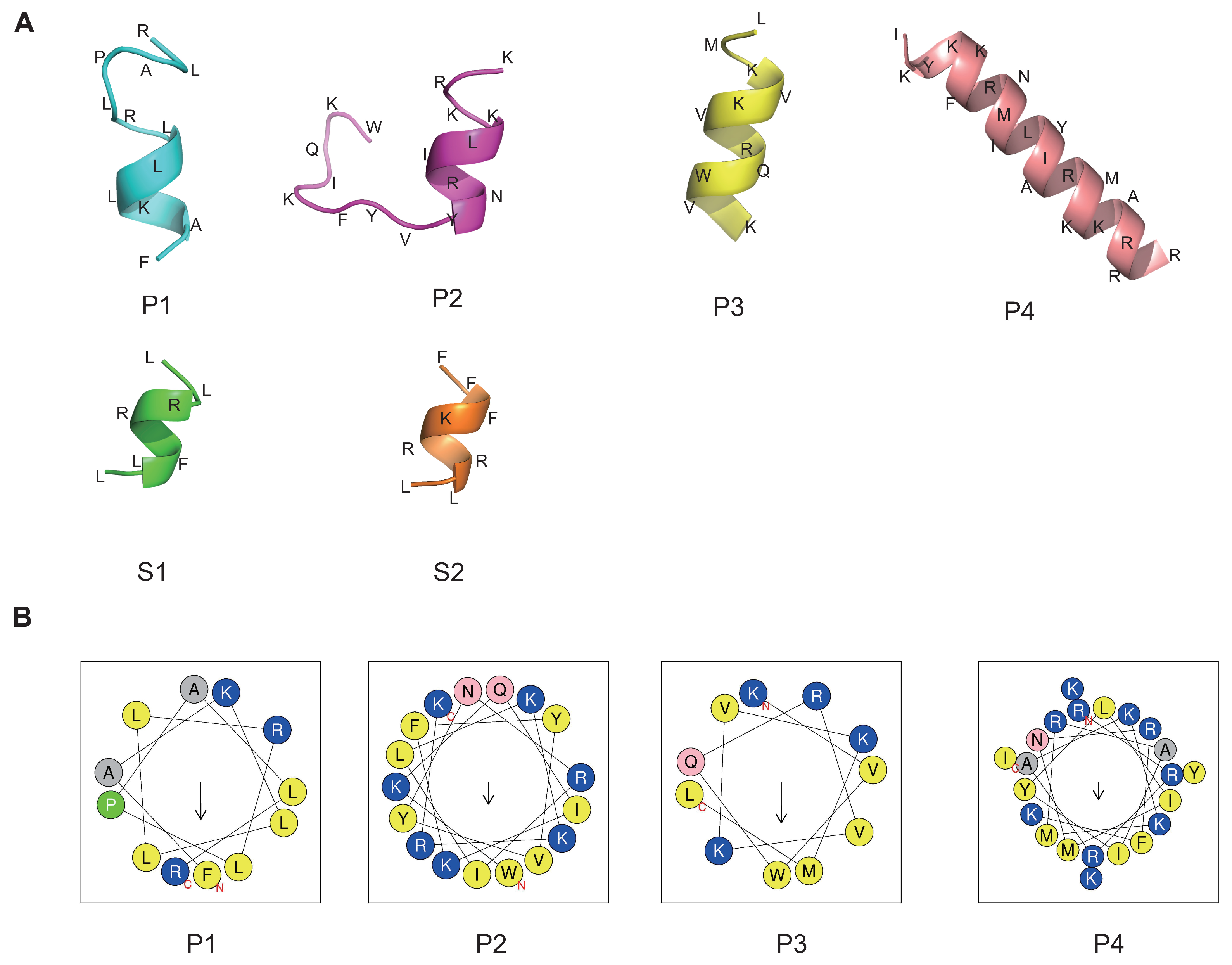 Marinedrugs 22 00385 g004