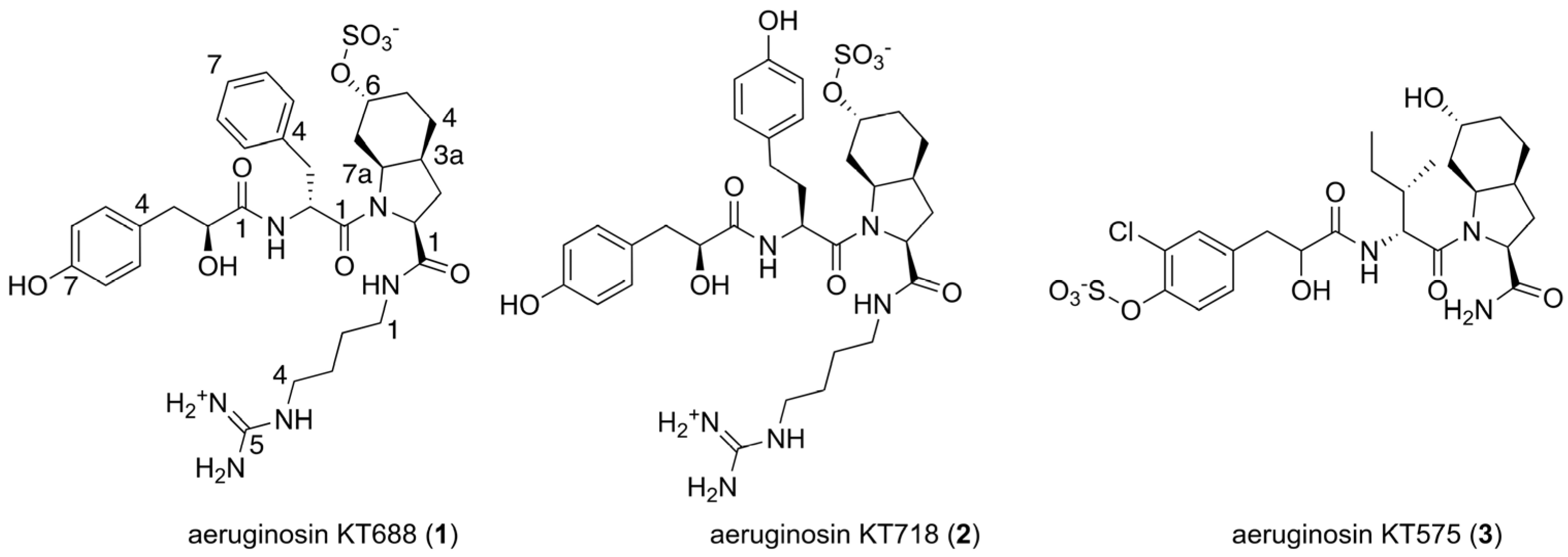 Marinedrugs 22 00389 g001
