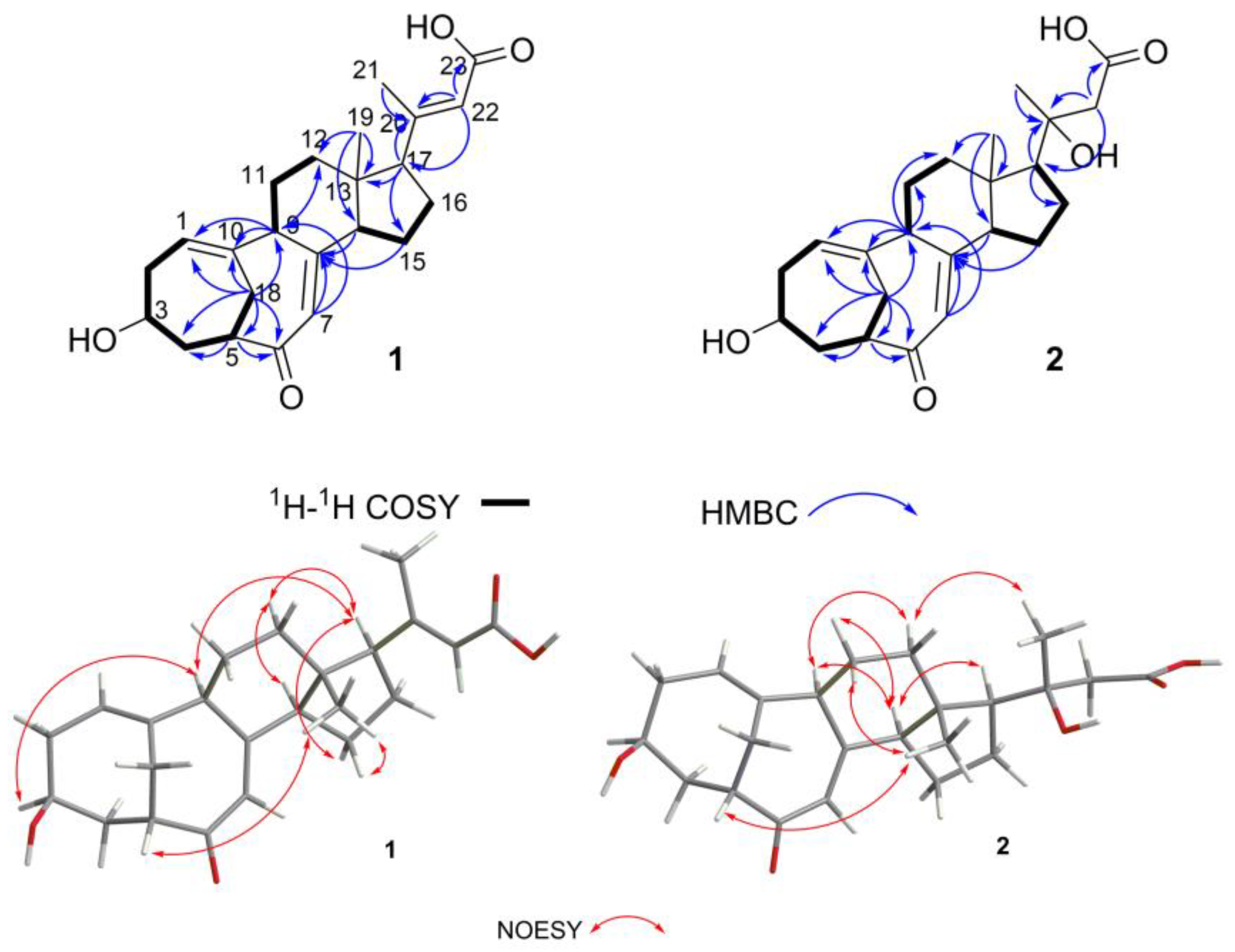 Marinedrugs 22 00393 g002