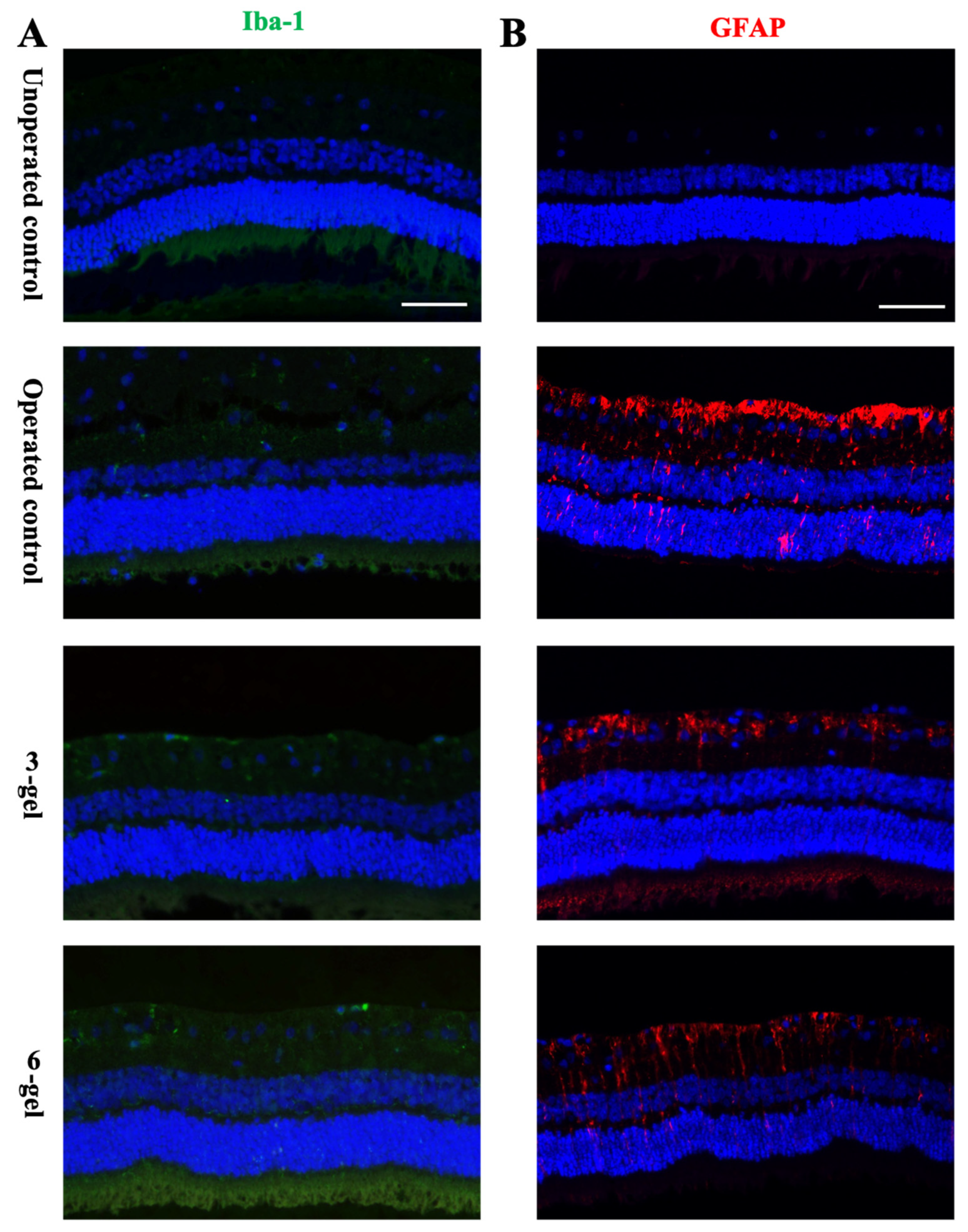 Marinedrugs 22 00394 g003