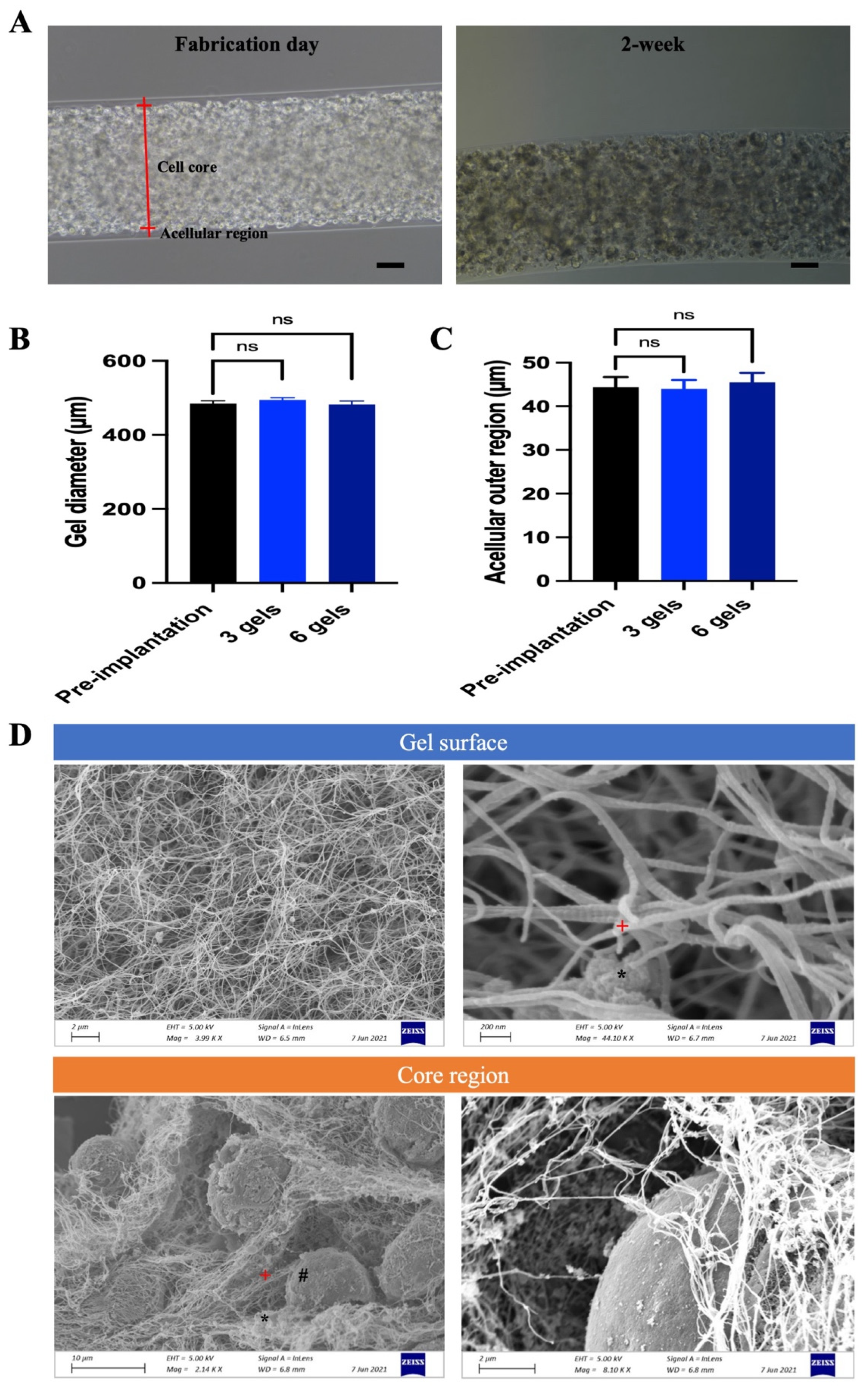 Marinedrugs 22 00394 g004