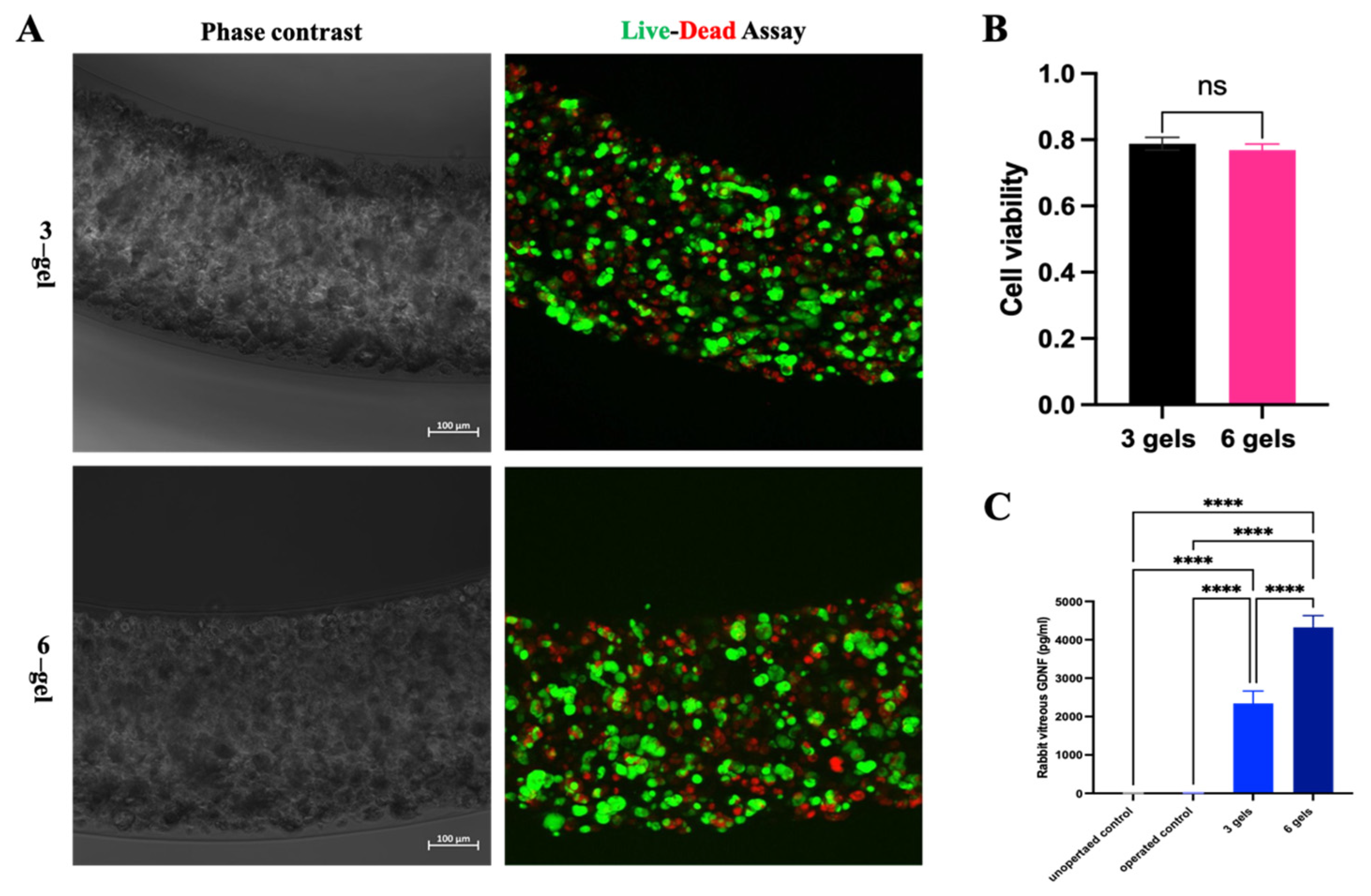 Marinedrugs 22 00394 g005