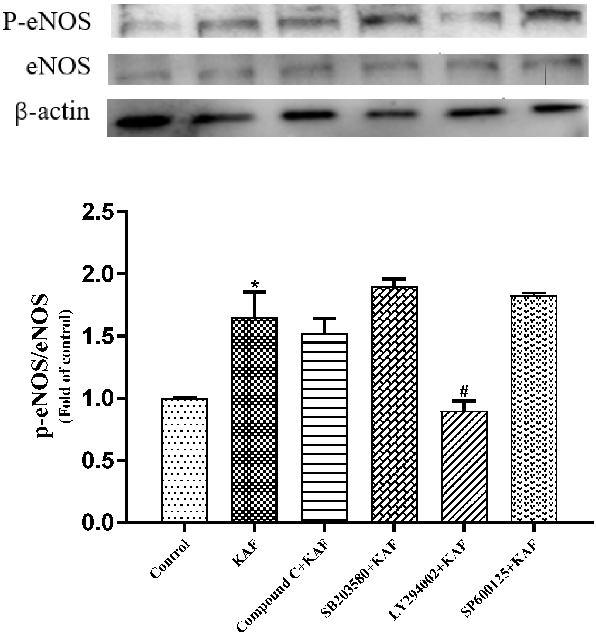Marinedrugs 22 00398 g007