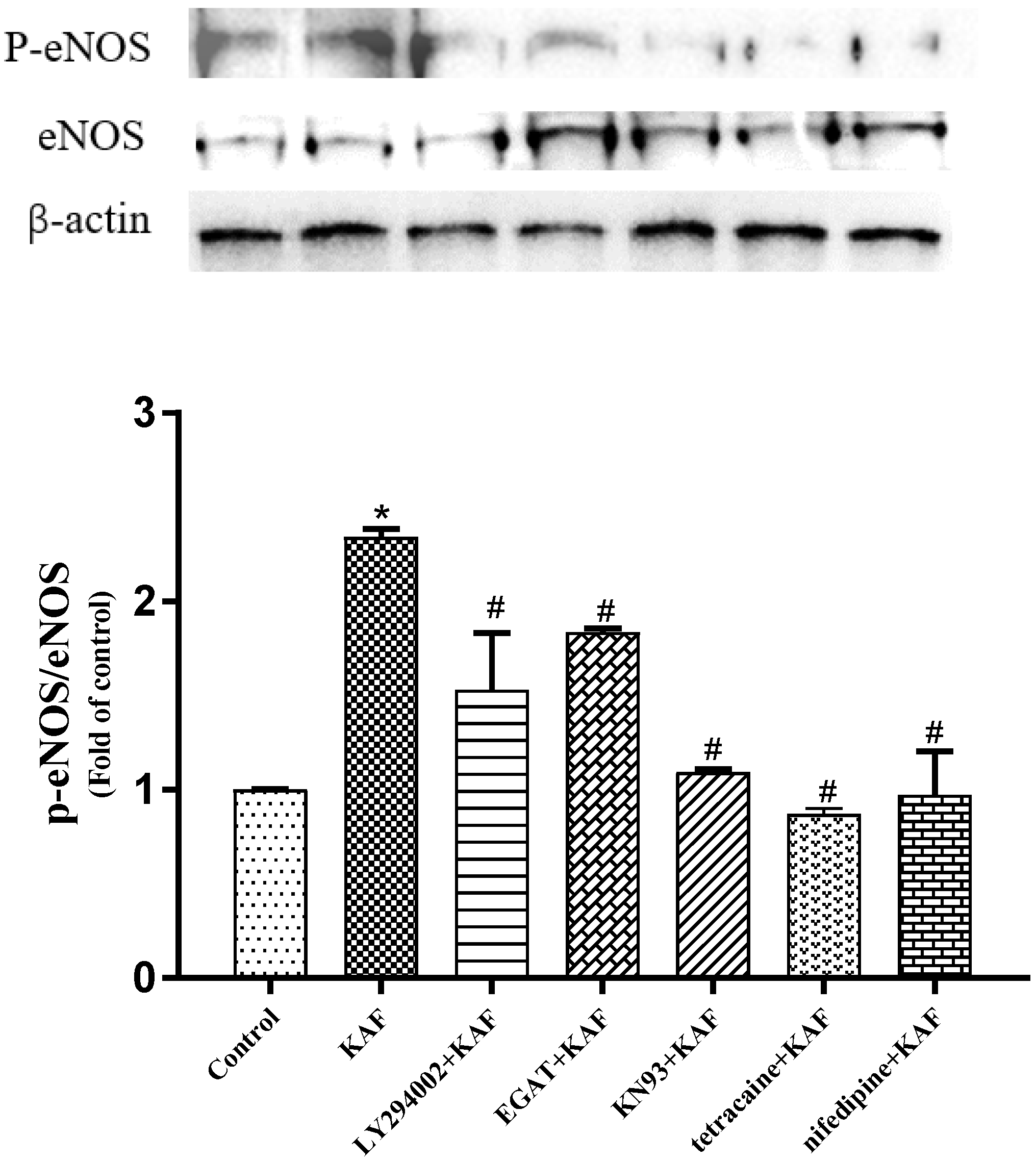 Marinedrugs 22 00398 g009