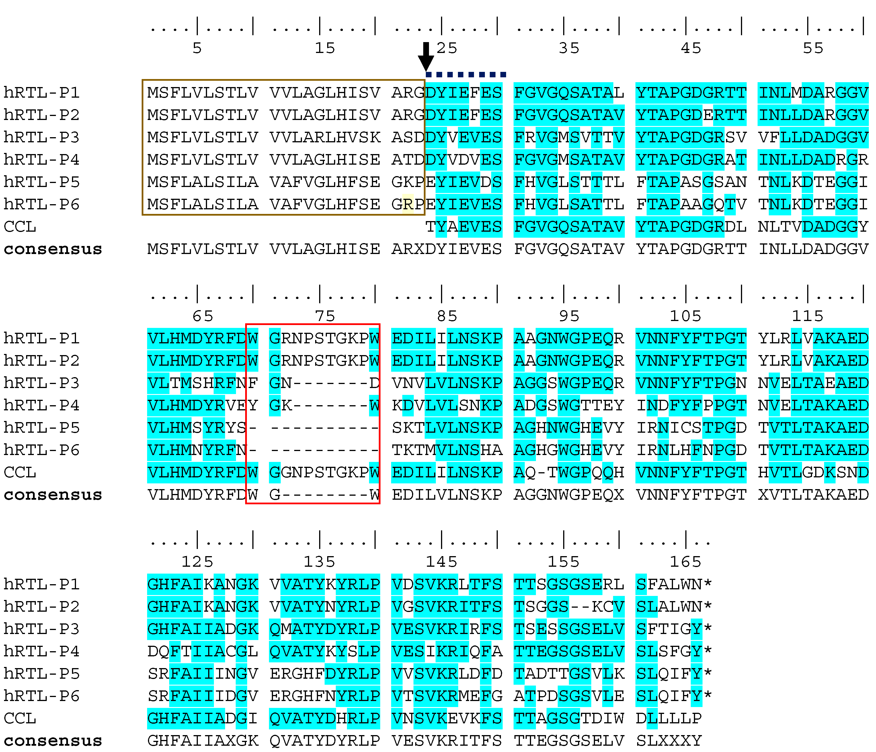 Marinedrugs 22 00400 g003
