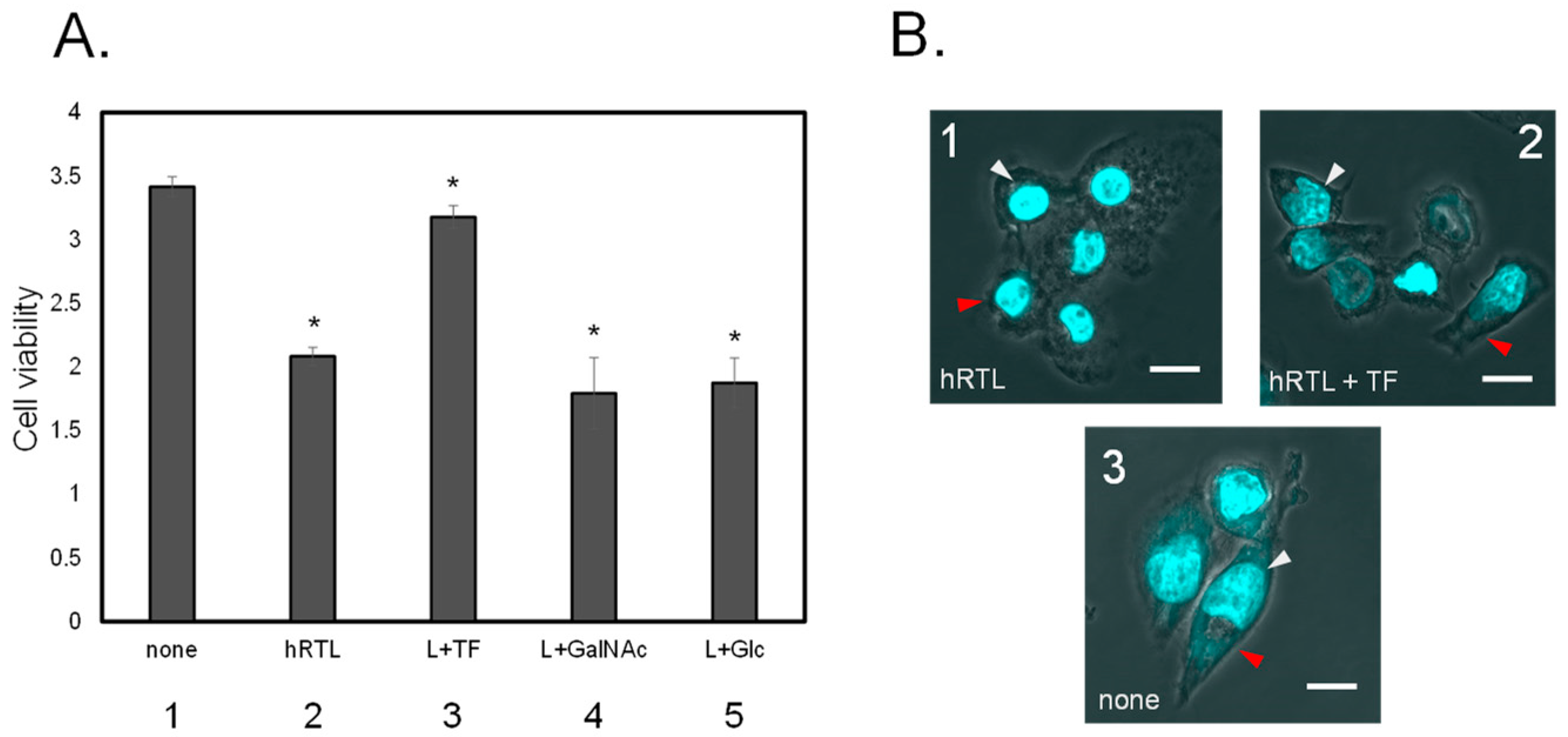 Marinedrugs 22 00400 g008