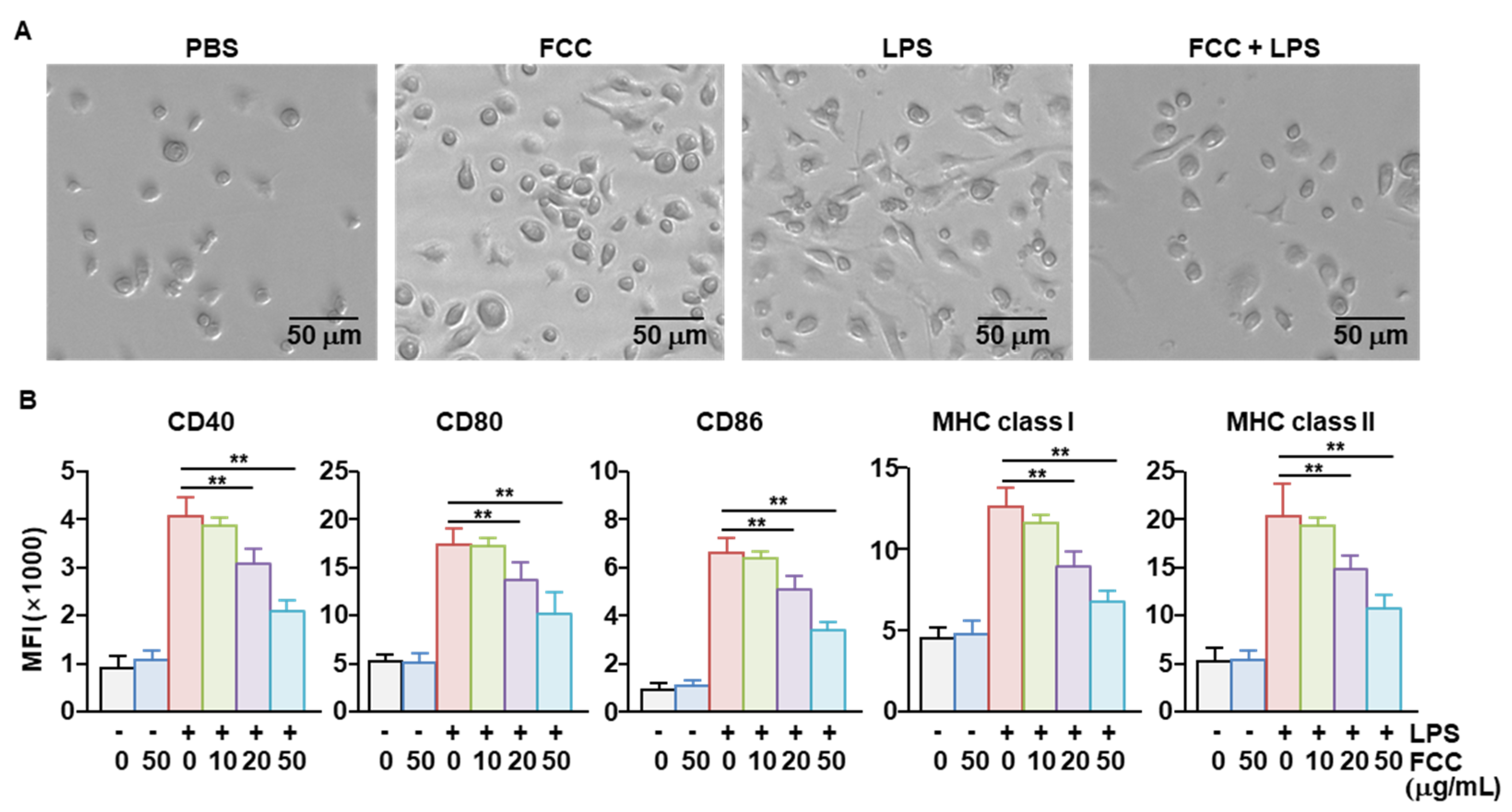 Marinedrugs 22 00401 g003