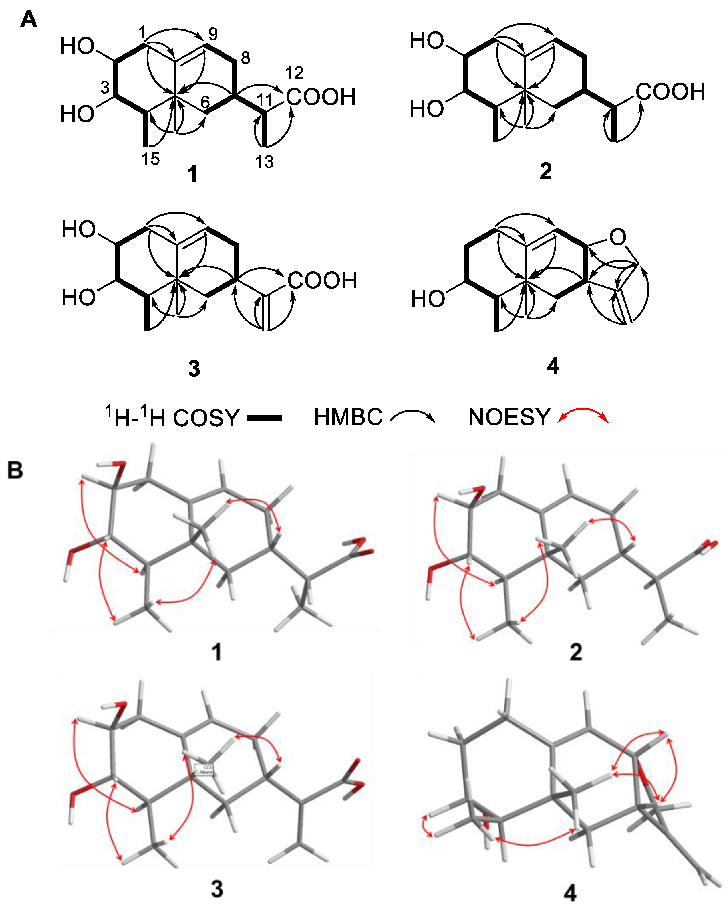 Marinedrugs 22 00403 g002