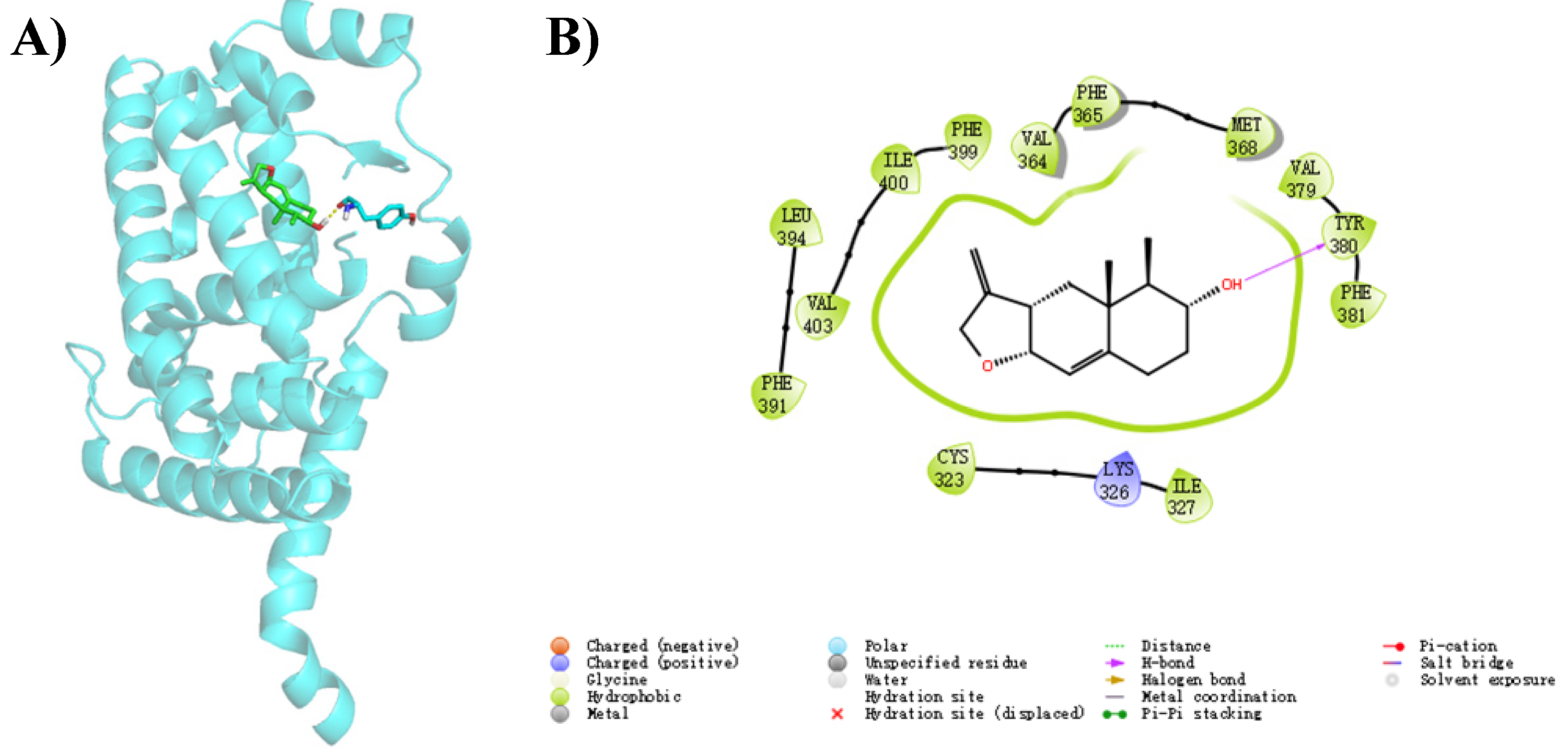 Marinedrugs 22 00403 g007