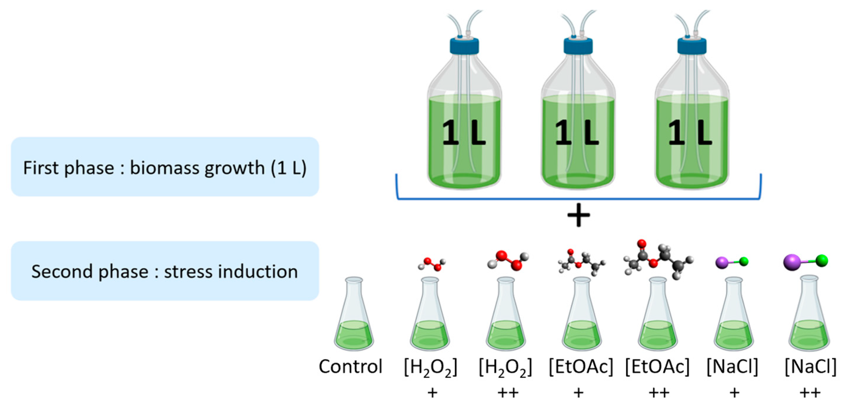Marinedrugs 22 00406 g005
