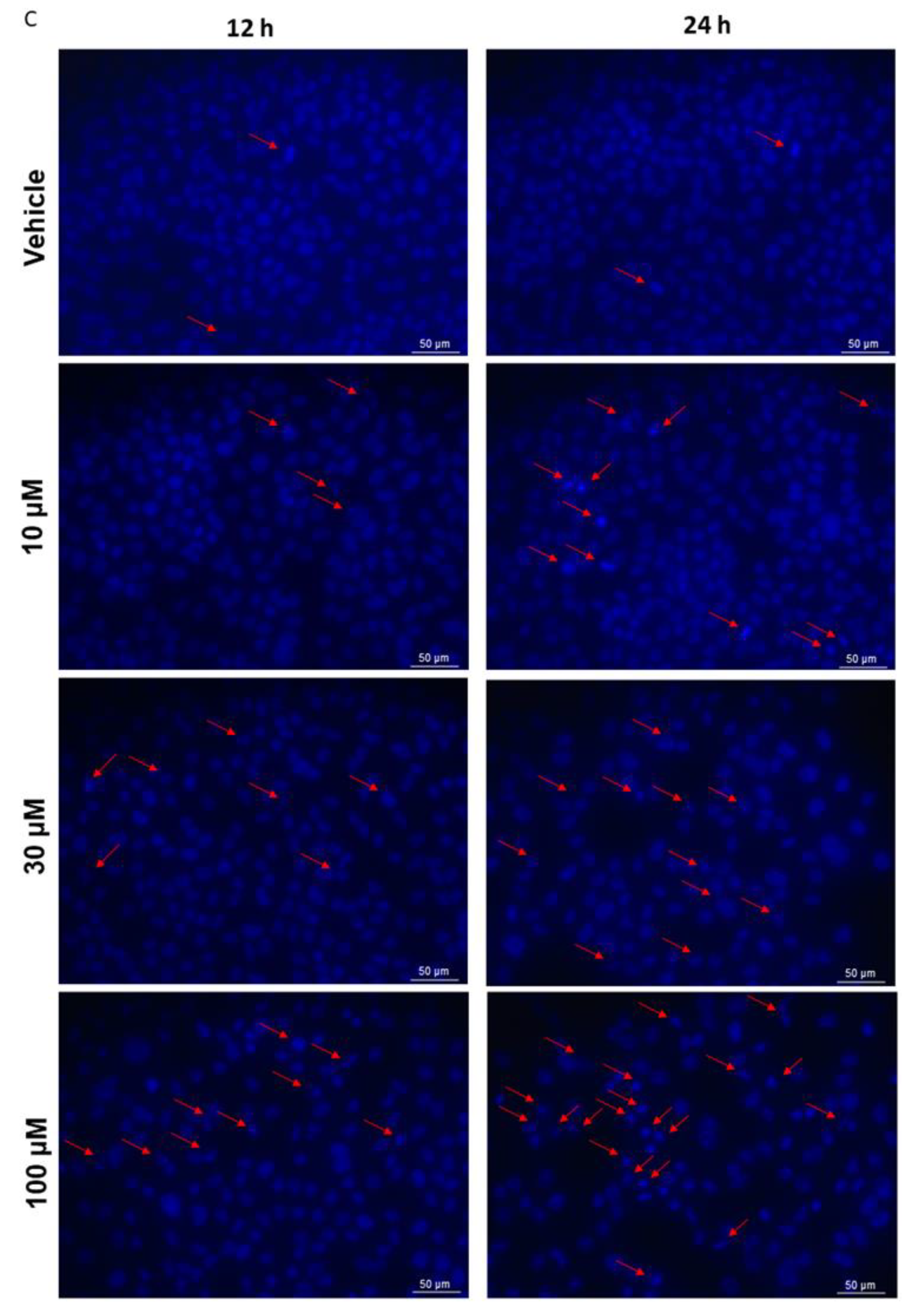 Marinedrugs 22 00408 g004b