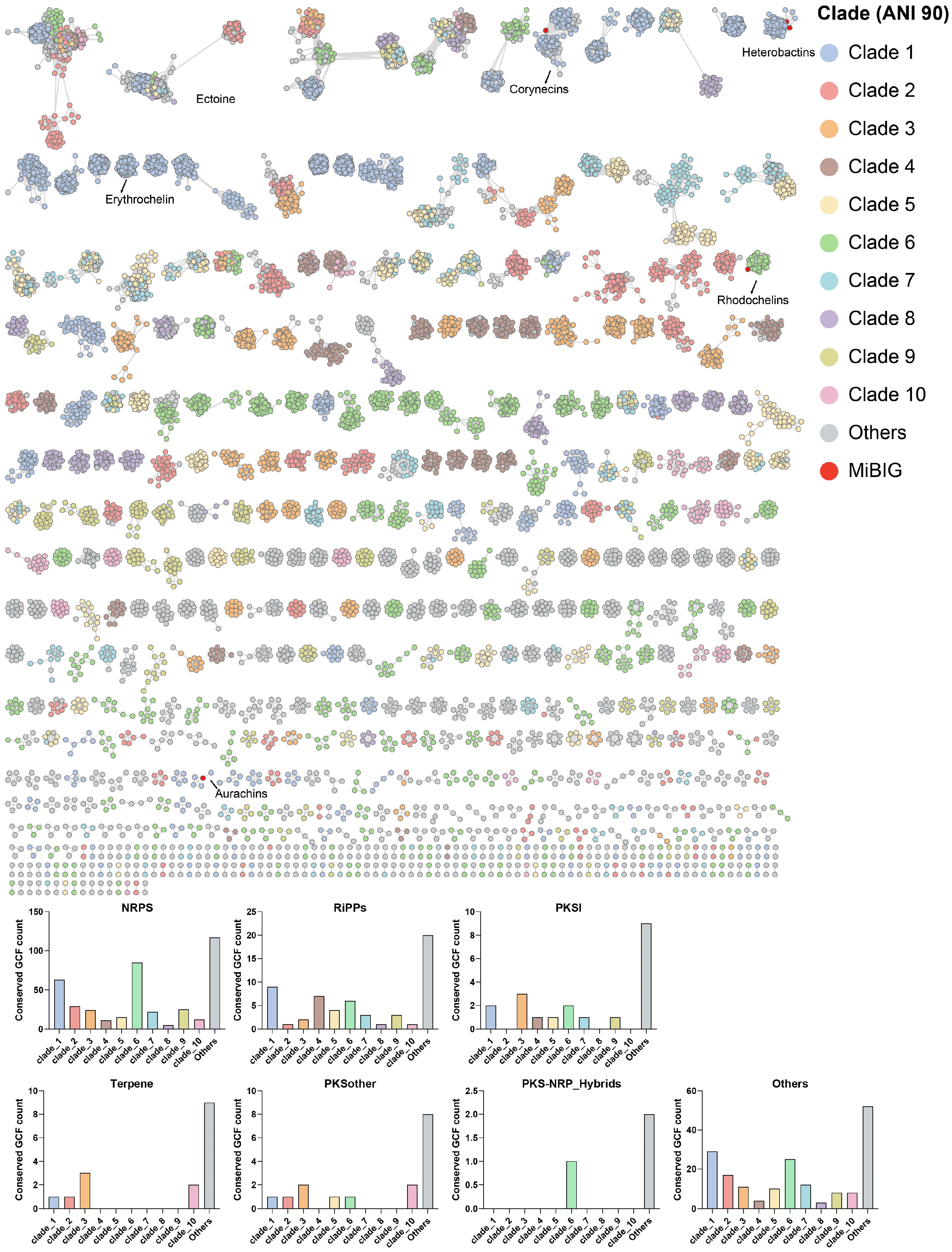 Marinedrugs 22 00409 g003 Marinedrugs 22 00409 g003