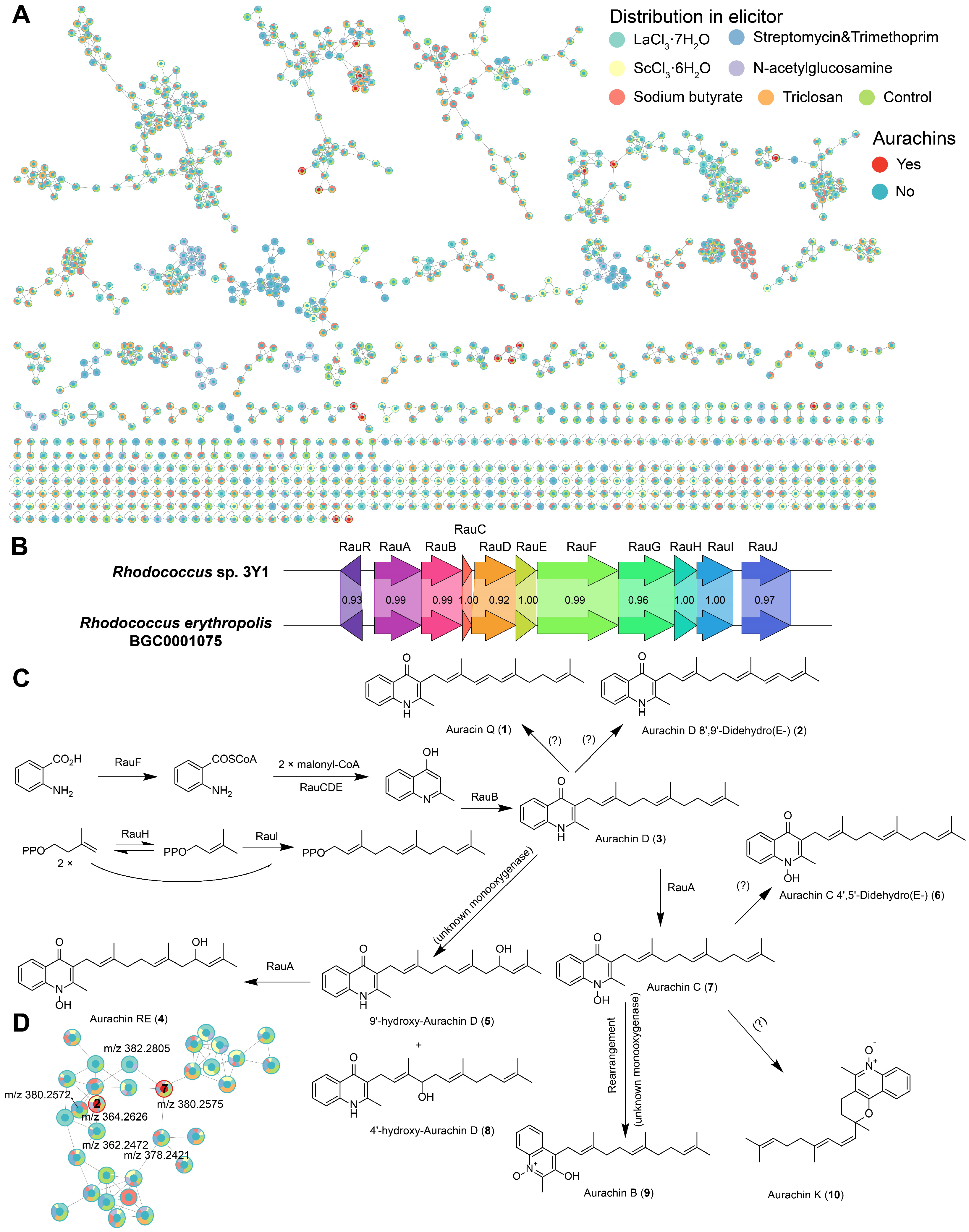 Marinedrugs 22 00409 g005 Marinedrugs 22 00409 g005