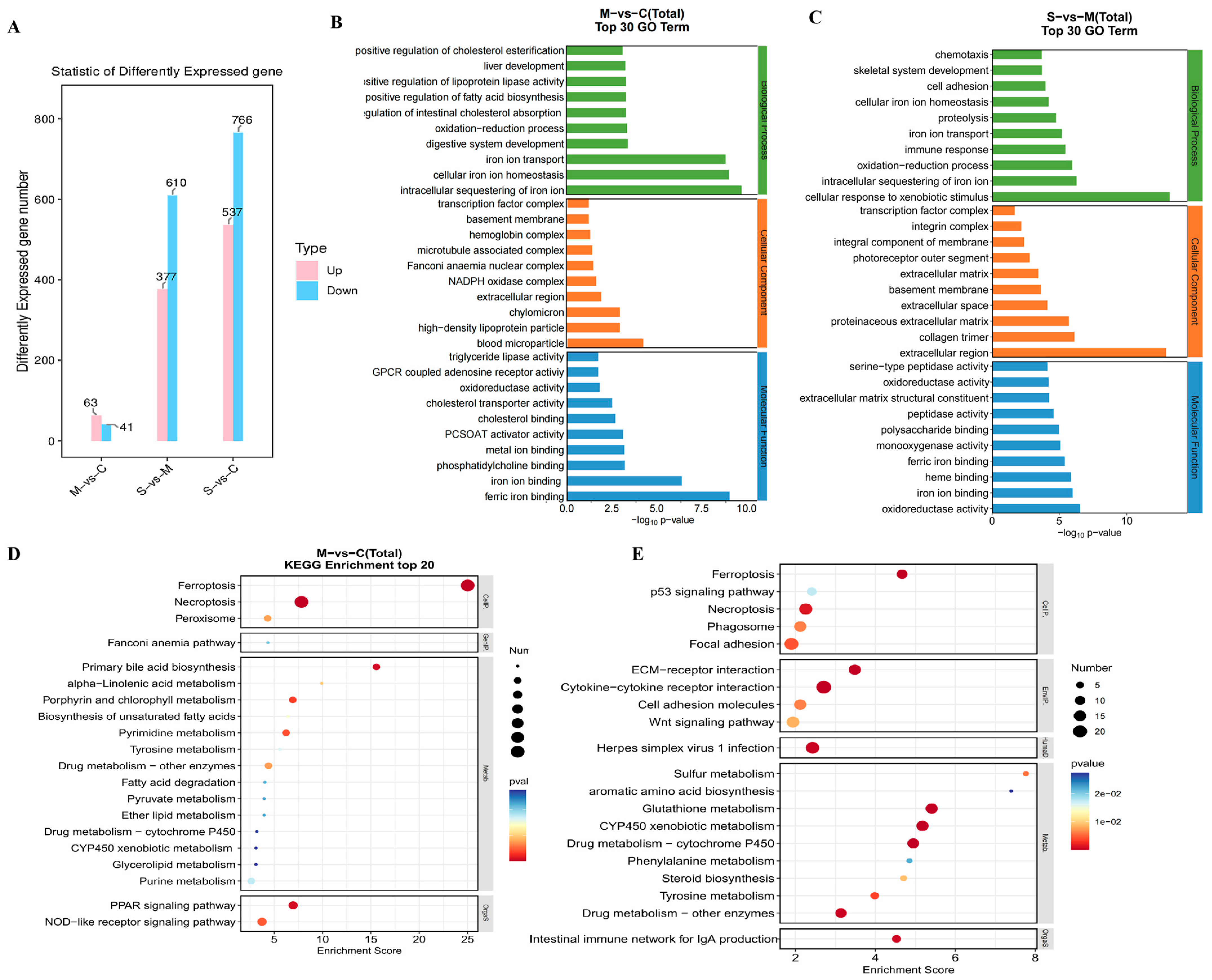 Marinedrugs 22 00410 g006