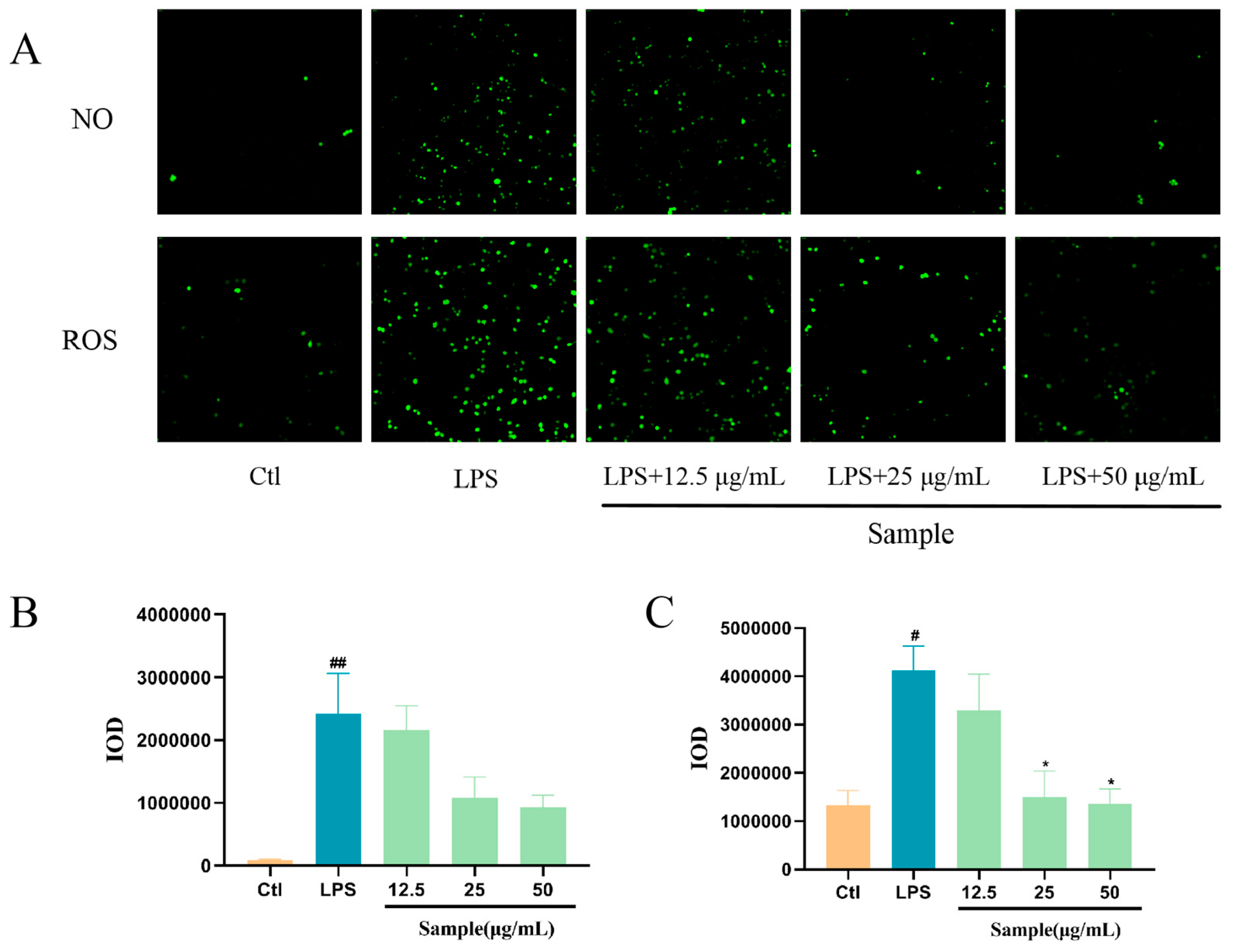 Marinedrugs 22 00410 g008