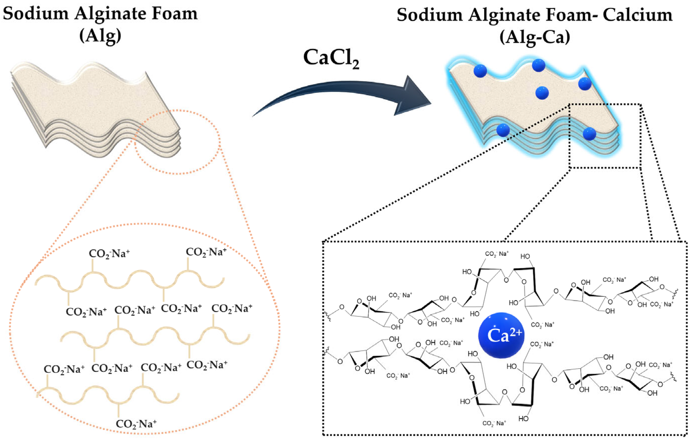 Marinedrugs 22 00415 g002