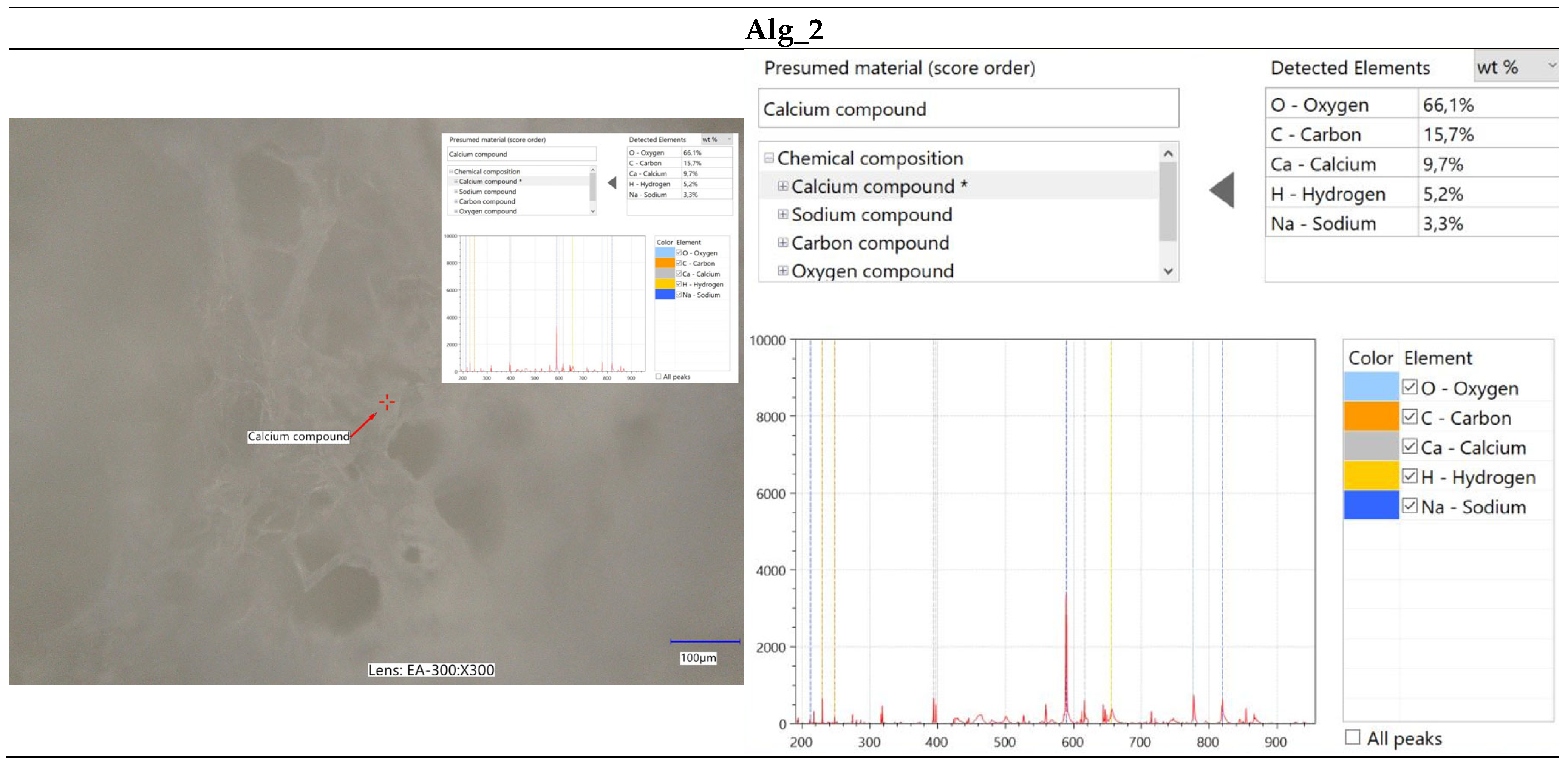 Marinedrugs 22 00415 g007