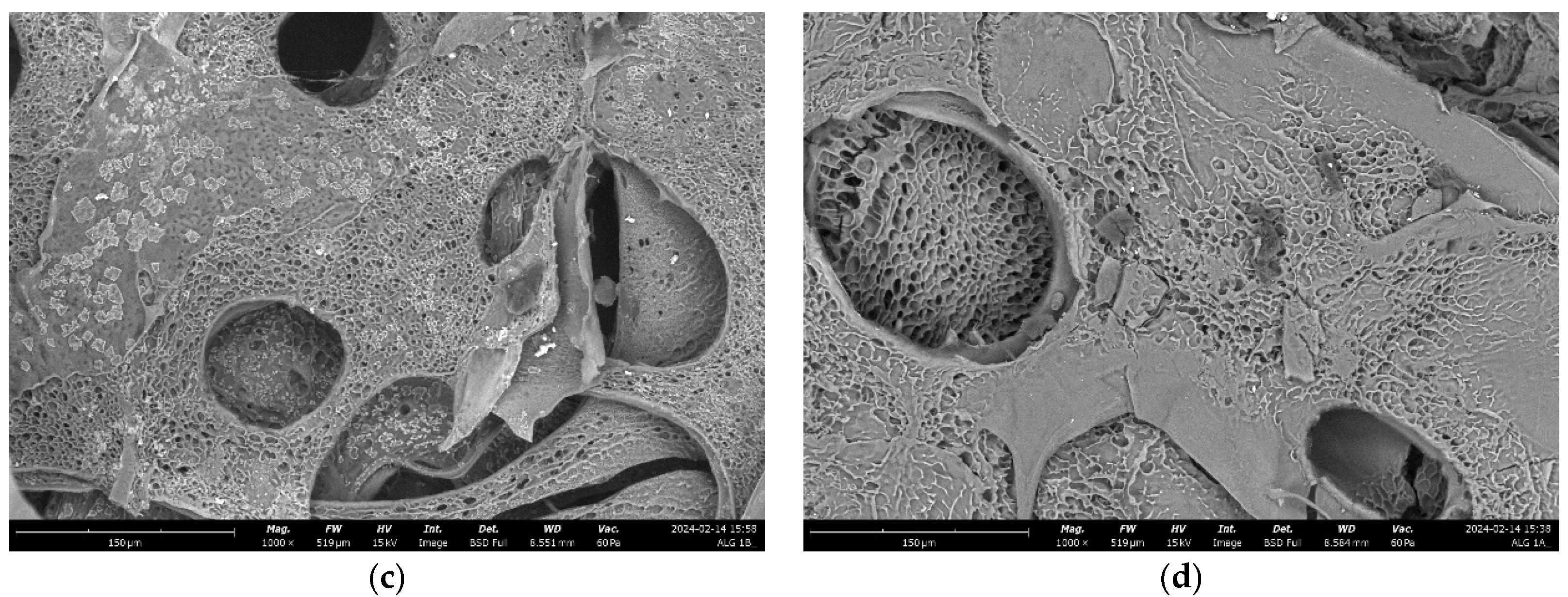 Marinedrugs 22 00415 g008b