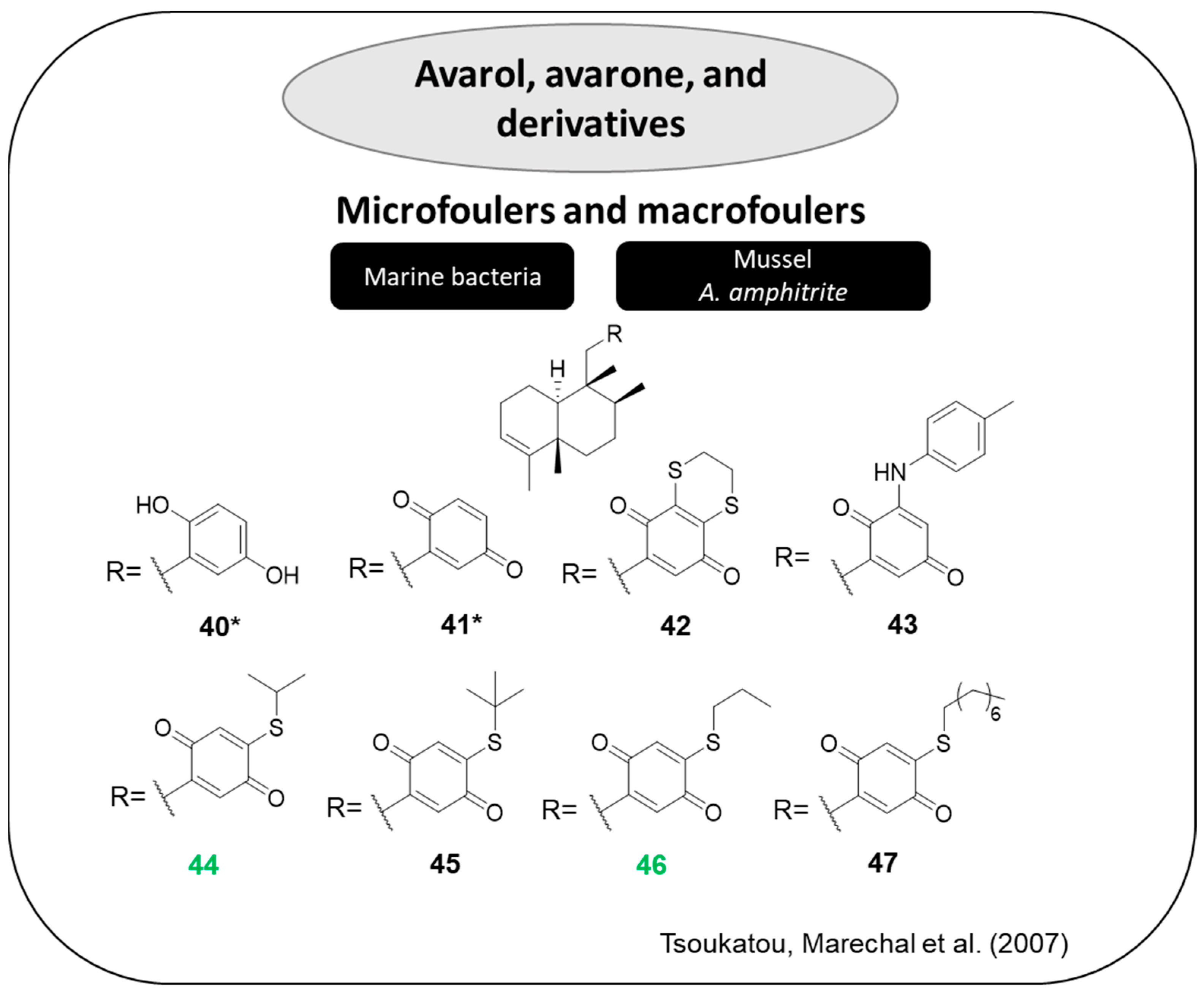 Marinedrugs 22 00416 g010