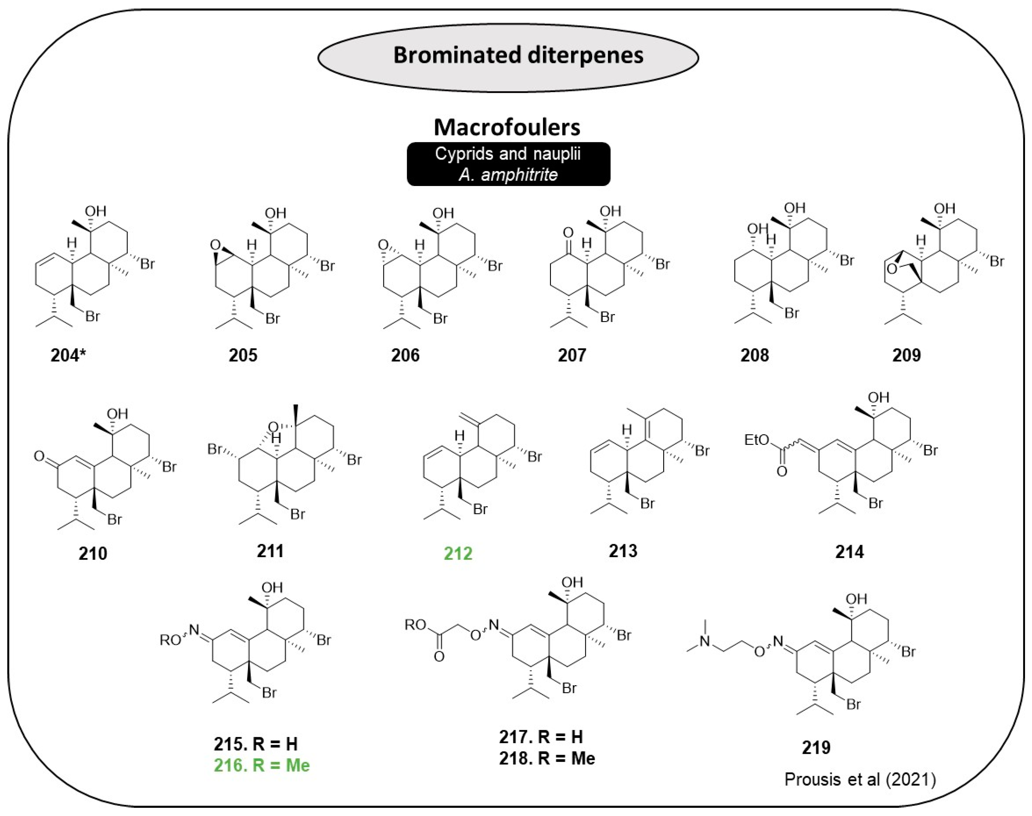 Marinedrugs 22 00416 g018