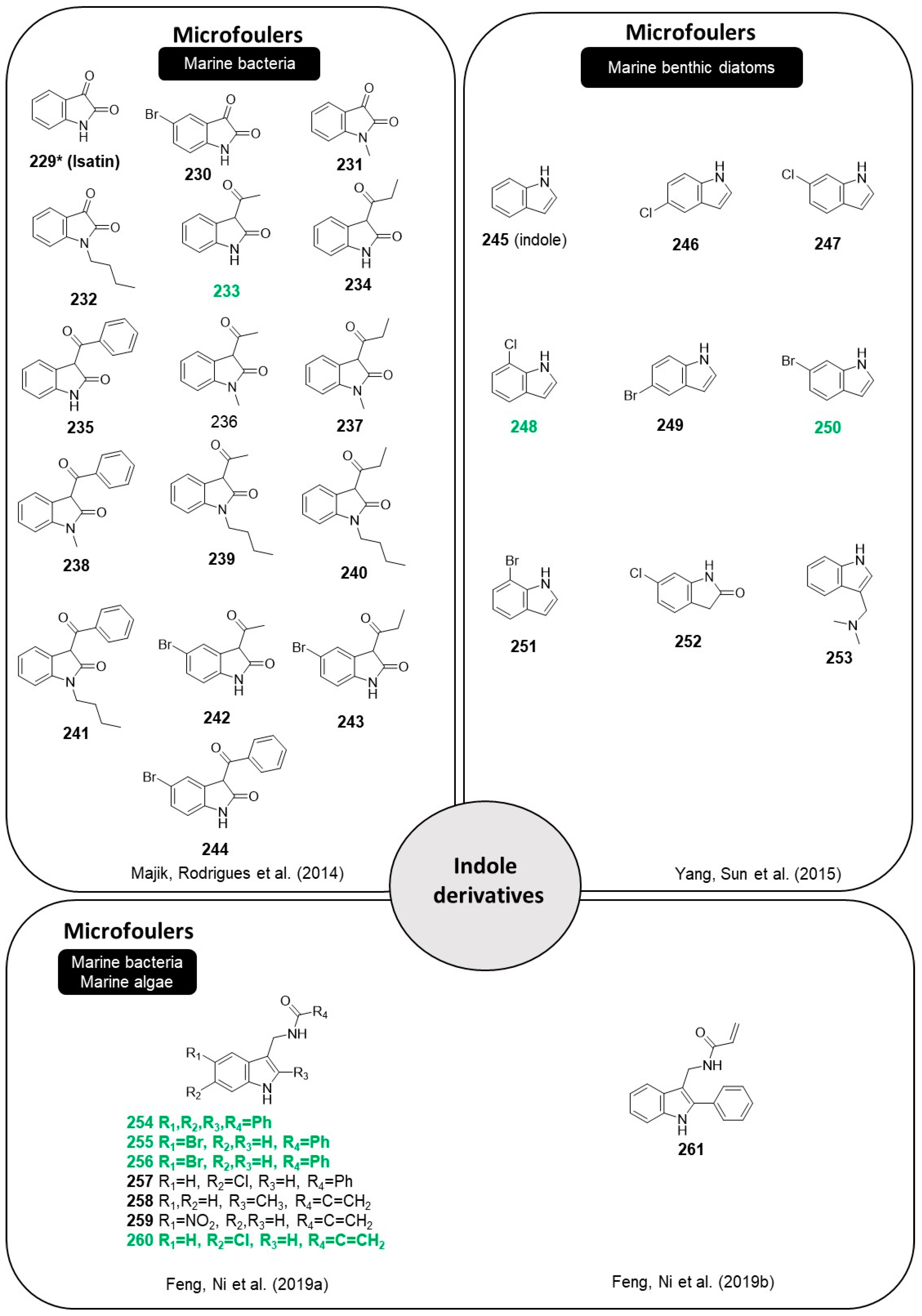 Marinedrugs 22 00416 g020