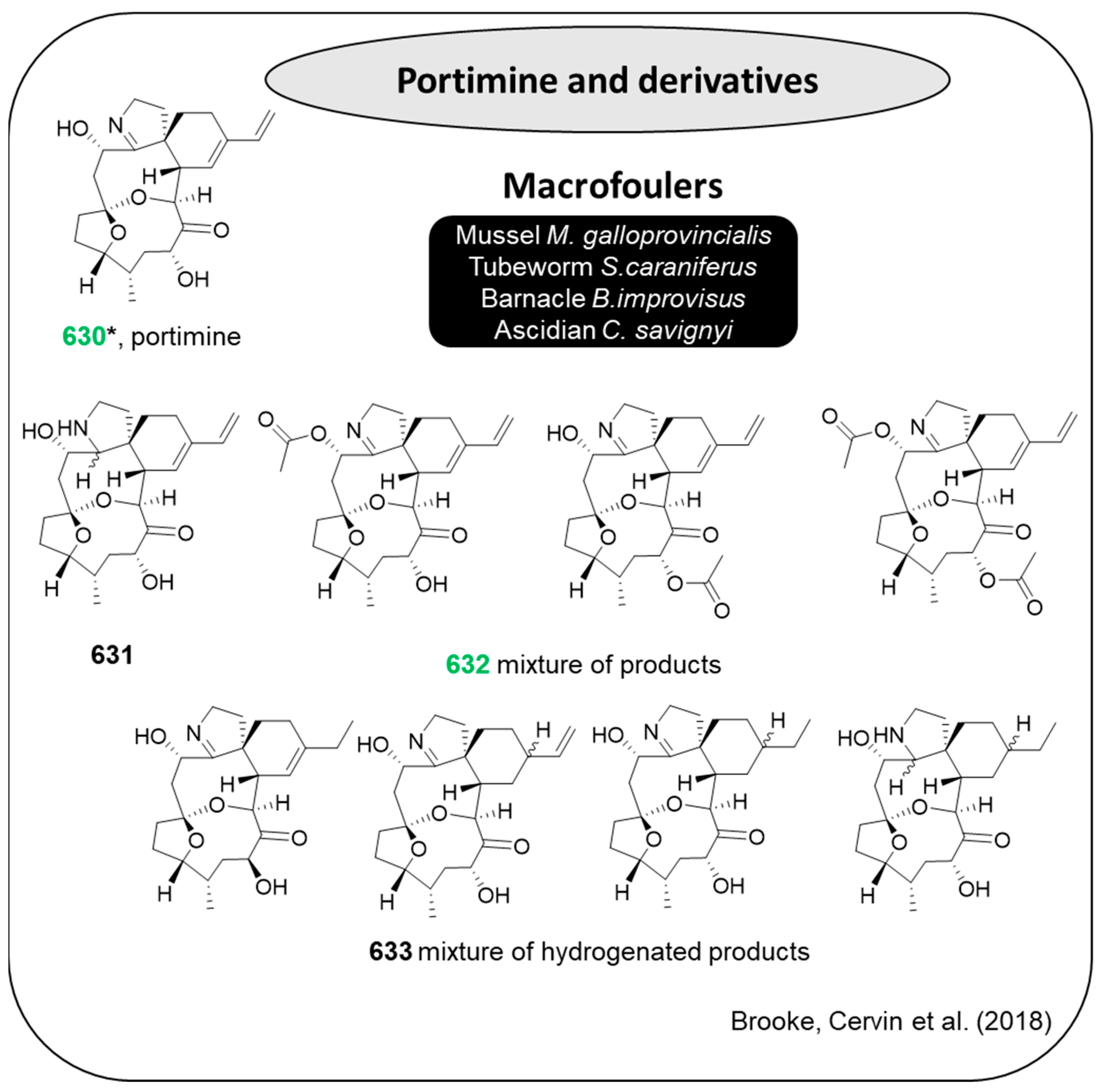 Marinedrugs 22 00416 g032
