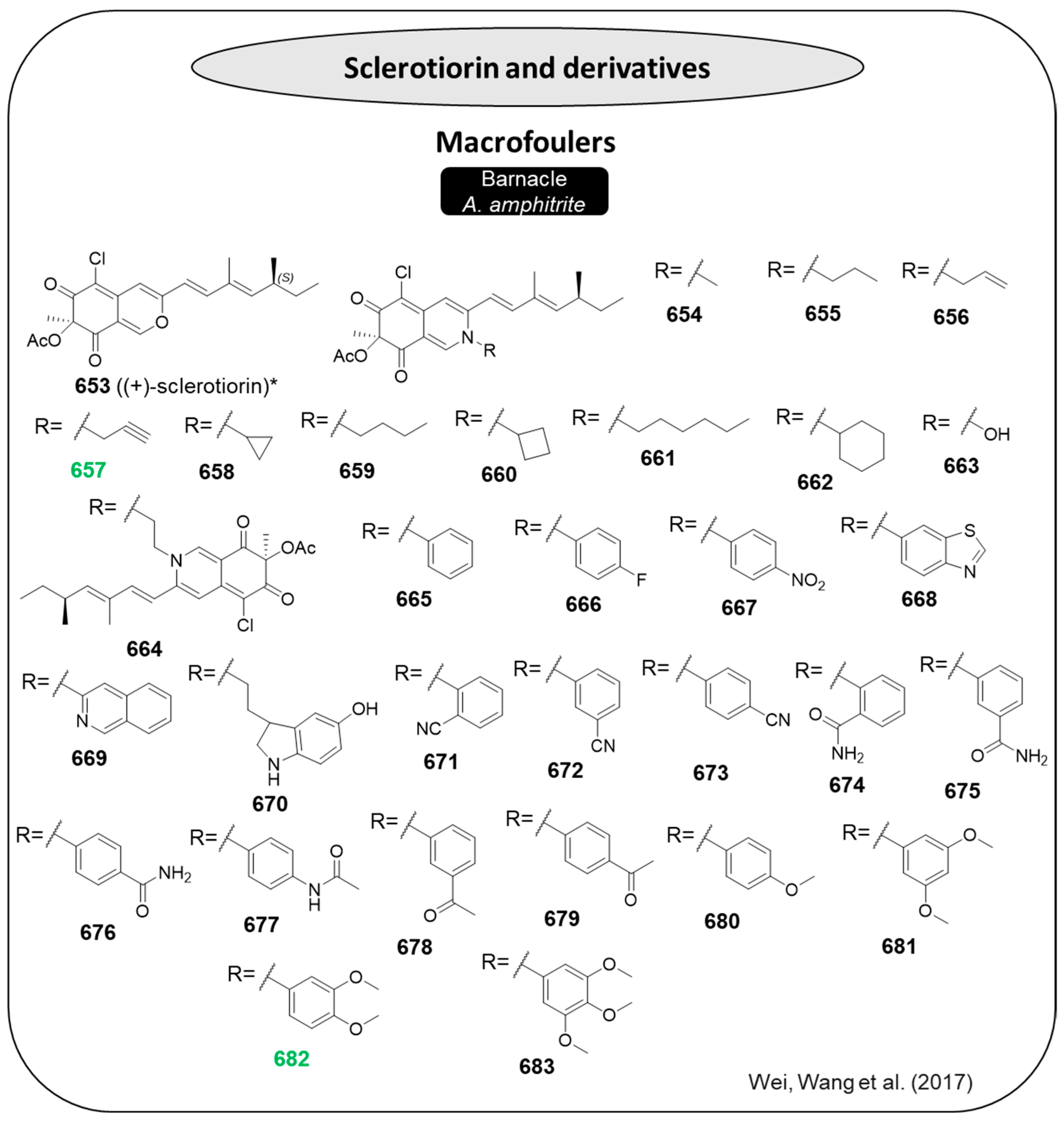 Marinedrugs 22 00416 g034