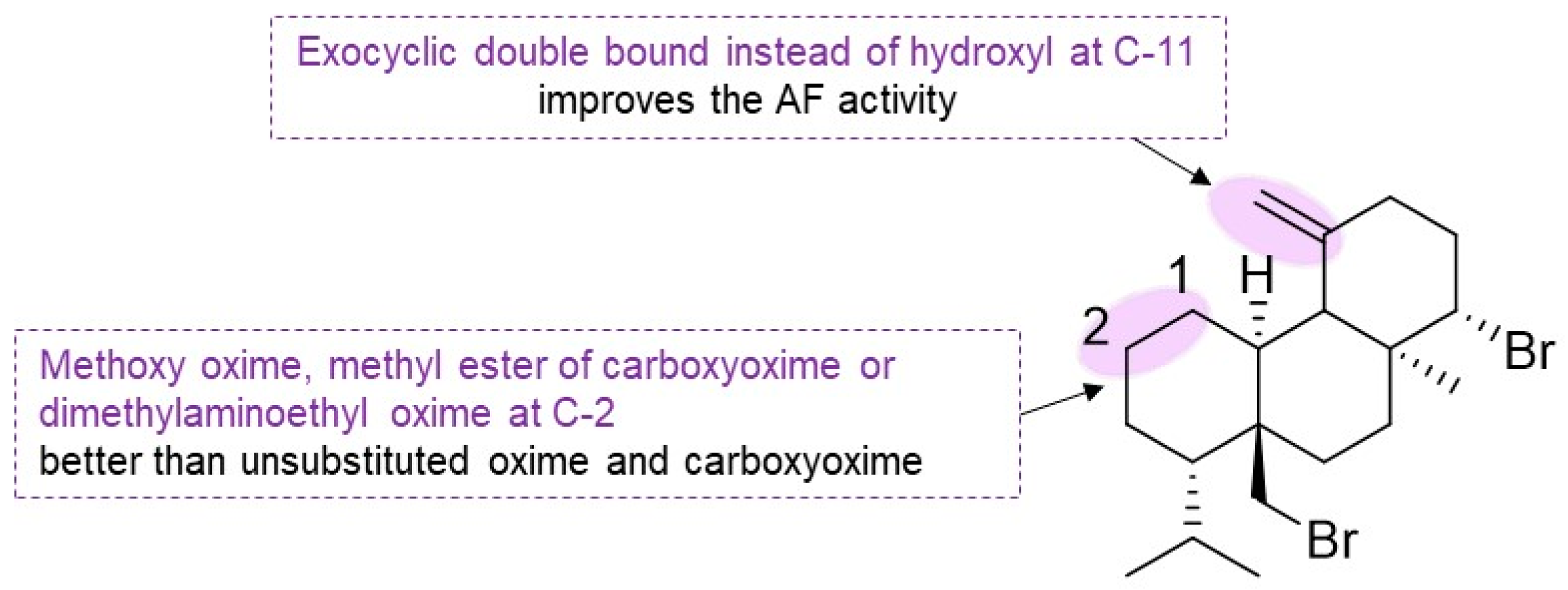 Marinedrugs 22 00416 sch007
