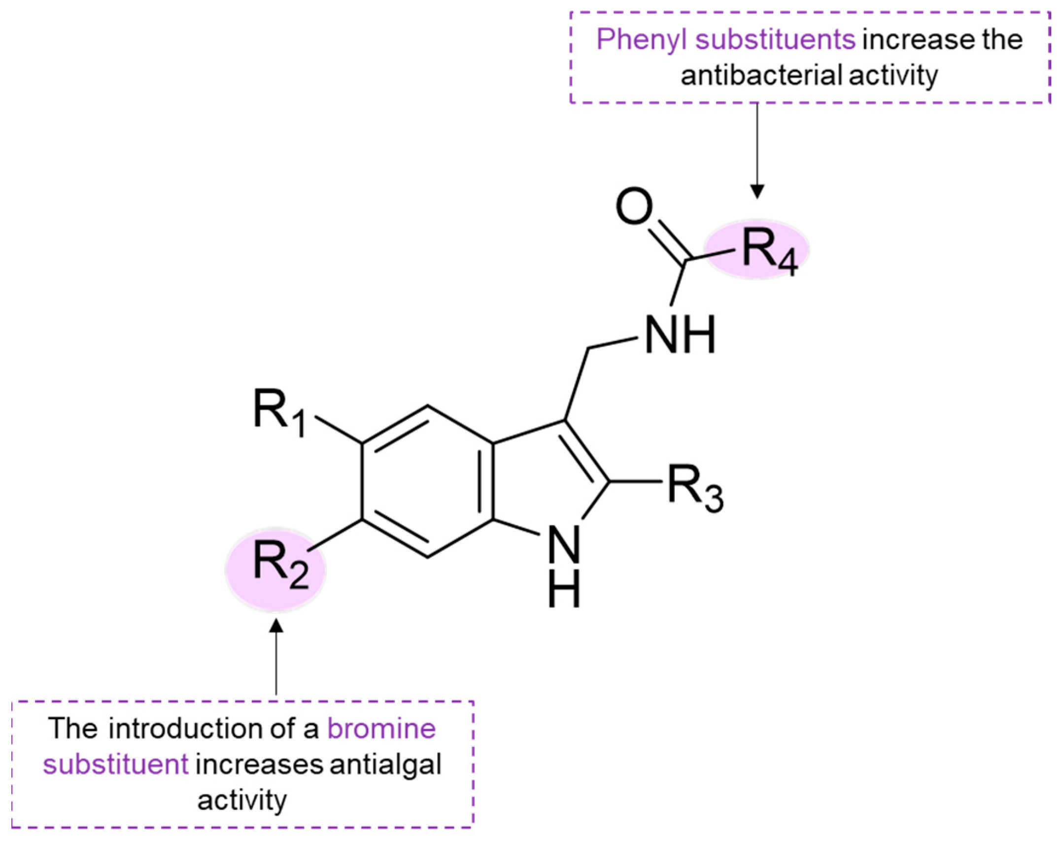 Marinedrugs 22 00416 sch008