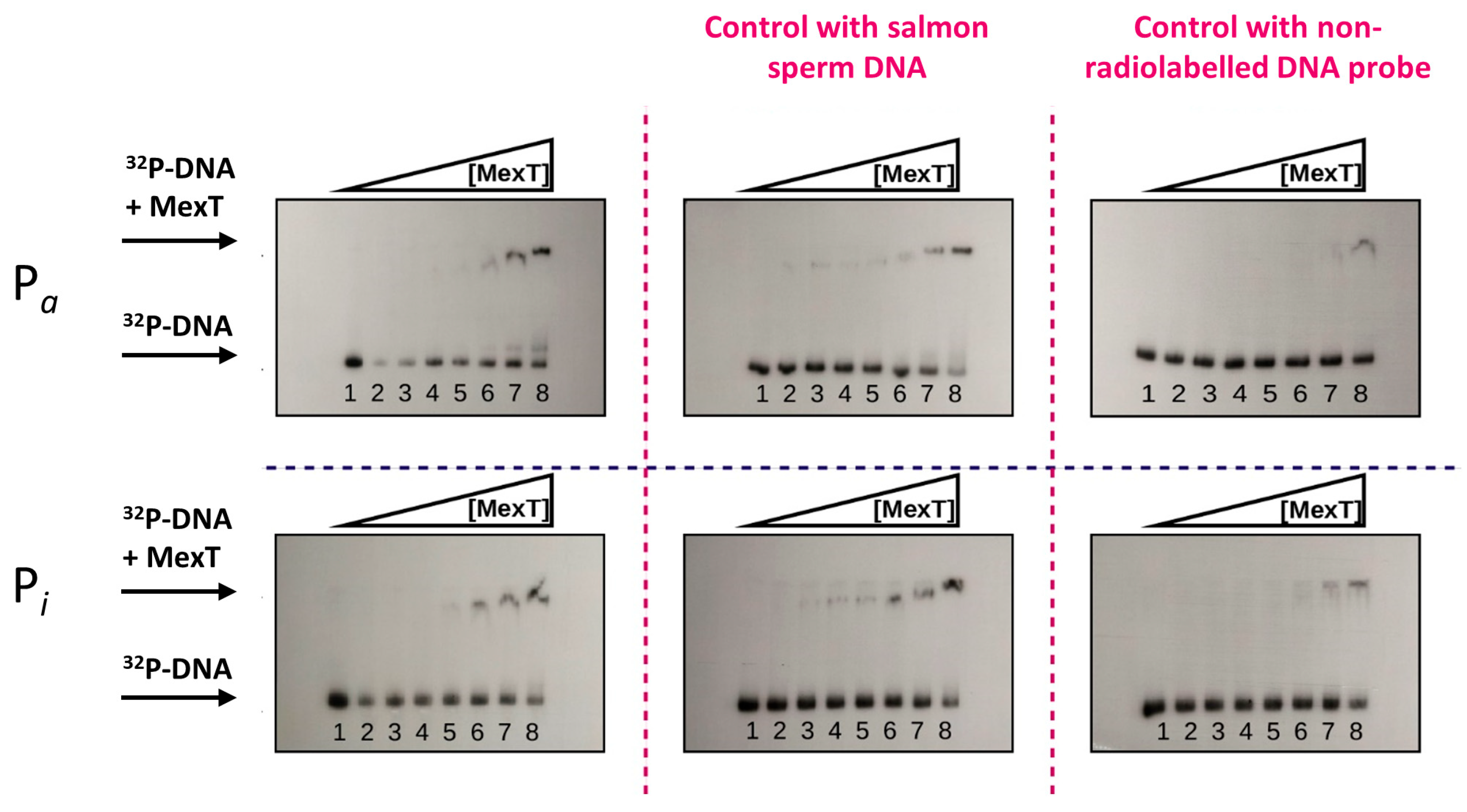 Marinedrugs 22 00418 g004