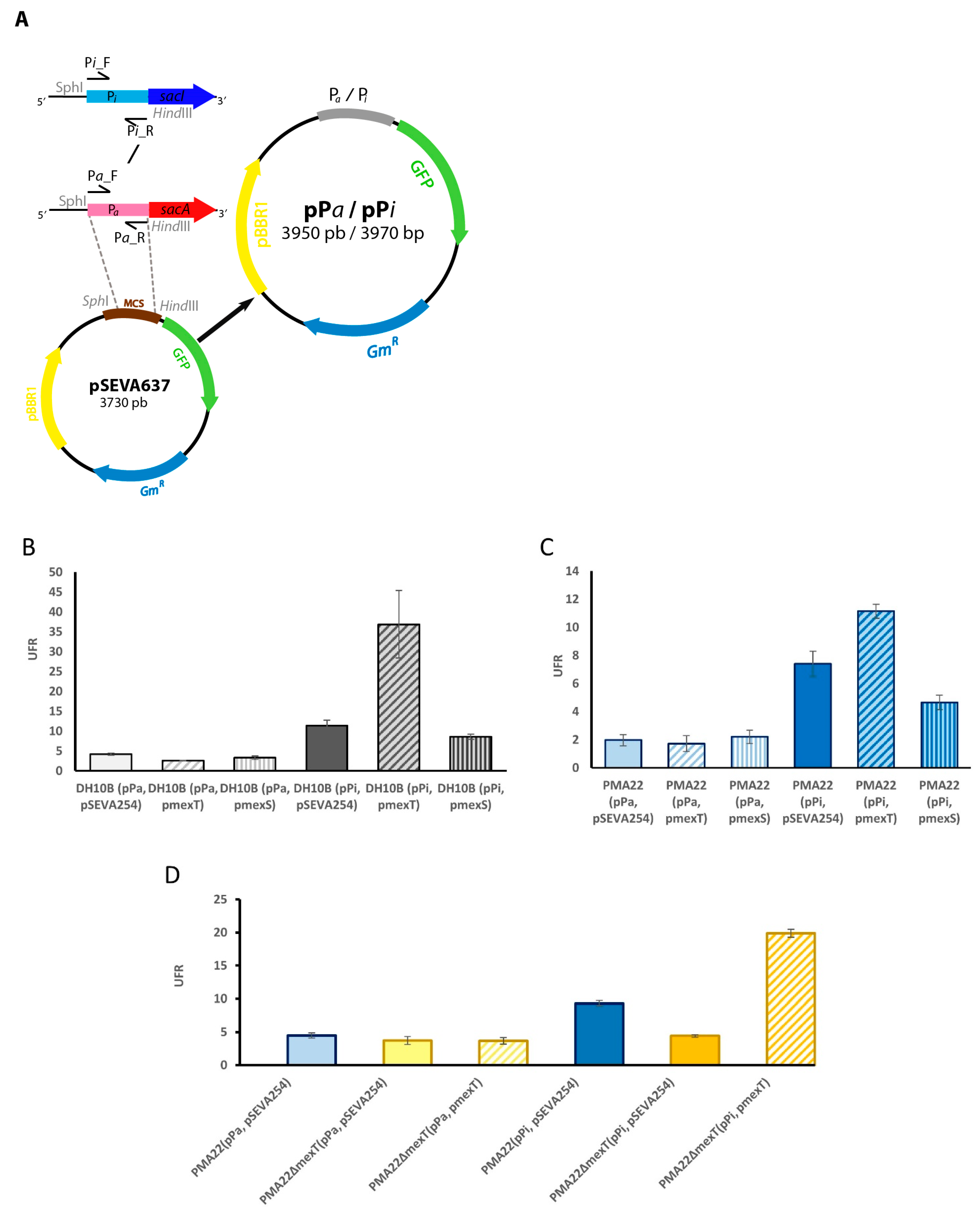 Marinedrugs 22 00418 g005