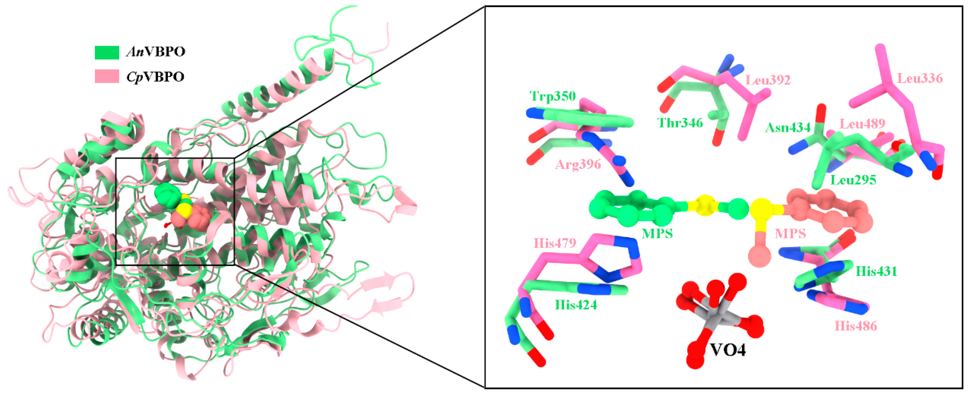 Marinedrugs 22 00419 g004