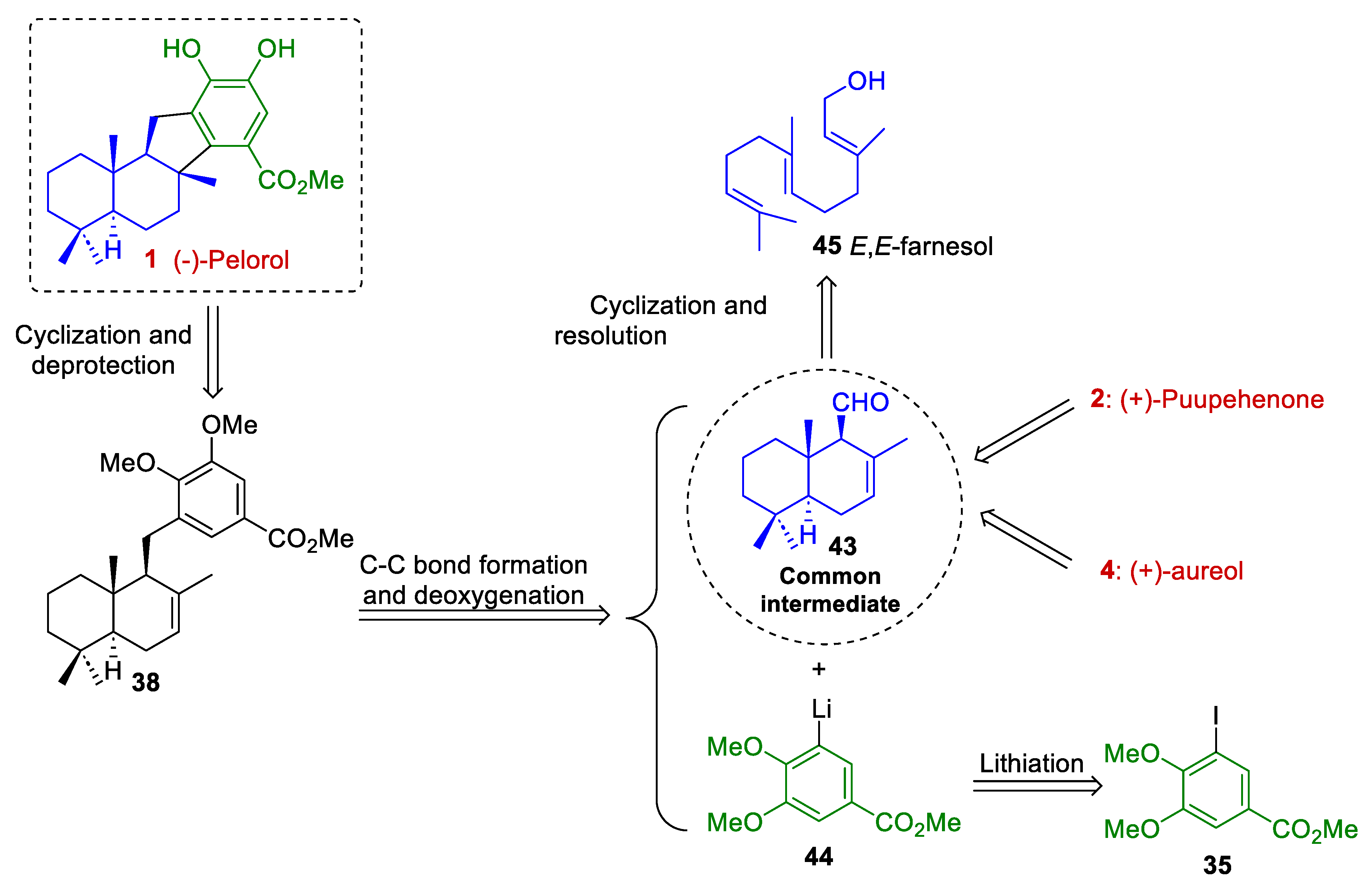 Marinedrugs 22 00425 sch008