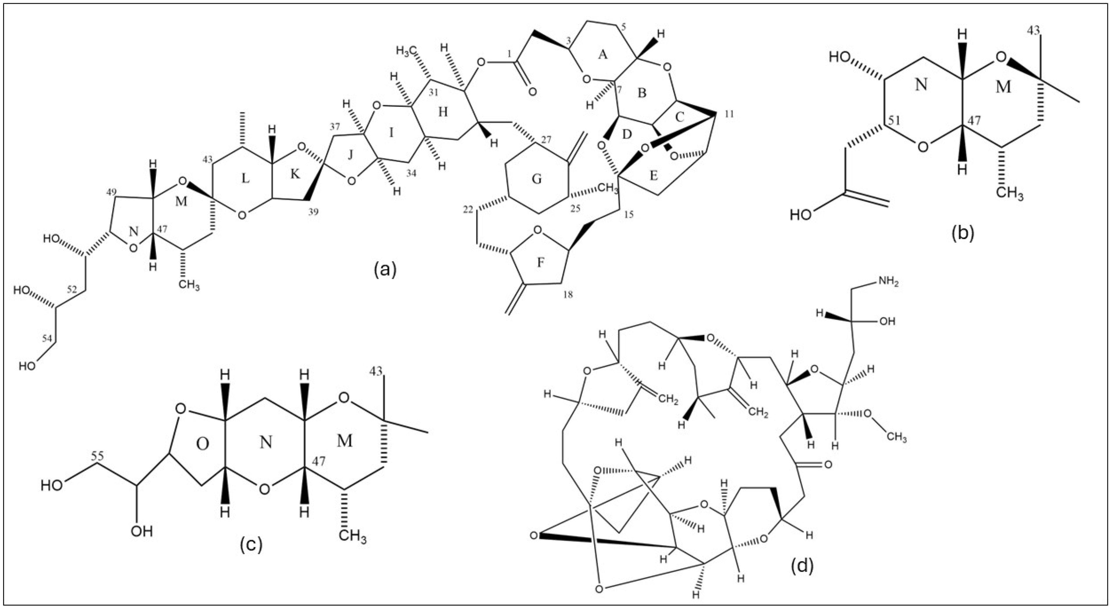 Marinedrugs 22 00426 g001 Marinedrugs 22 00426 g001