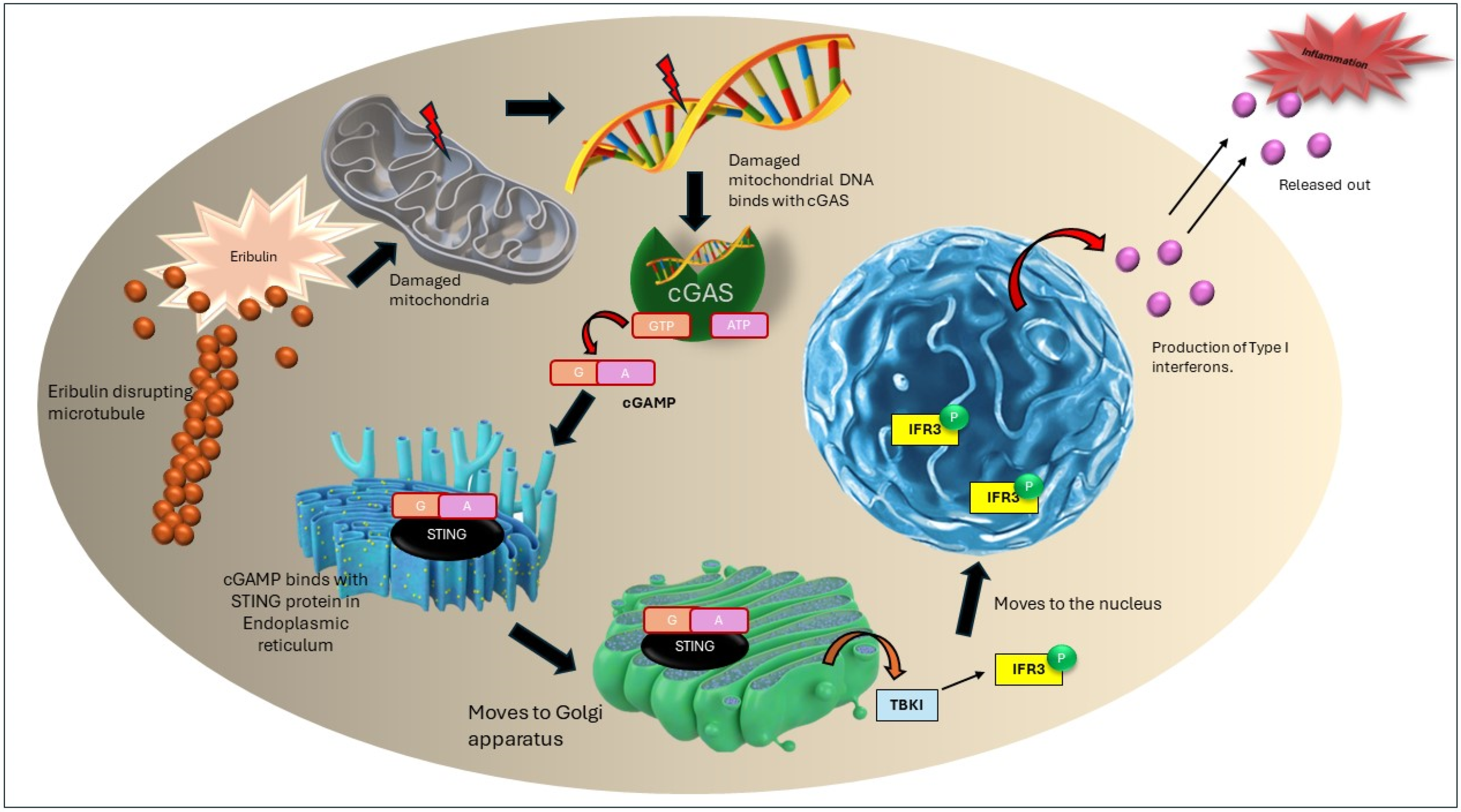 Marinedrugs 22 00426 g002 Marinedrugs 22 00426 g002