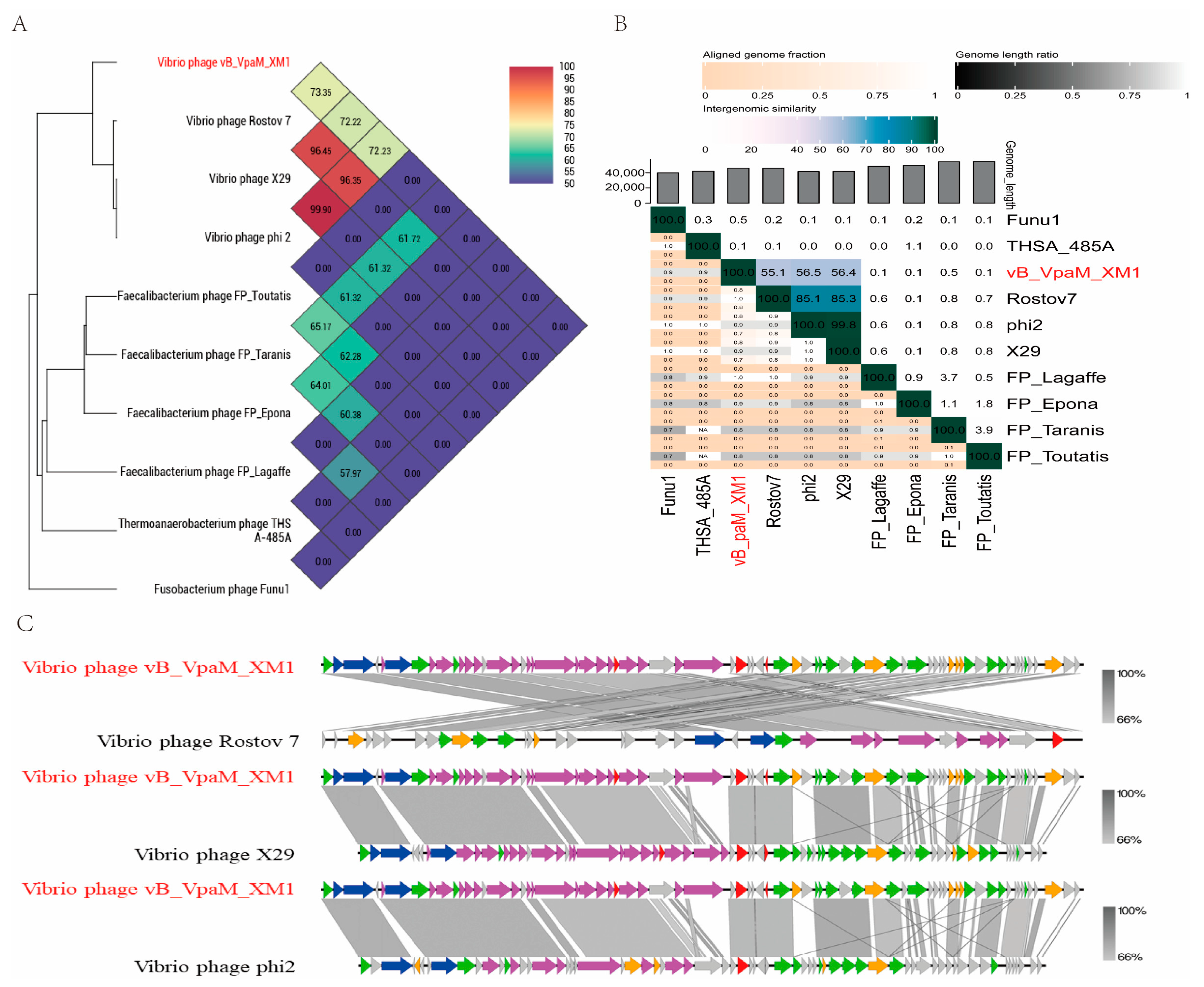 Marinedrugs 22 00429 g006