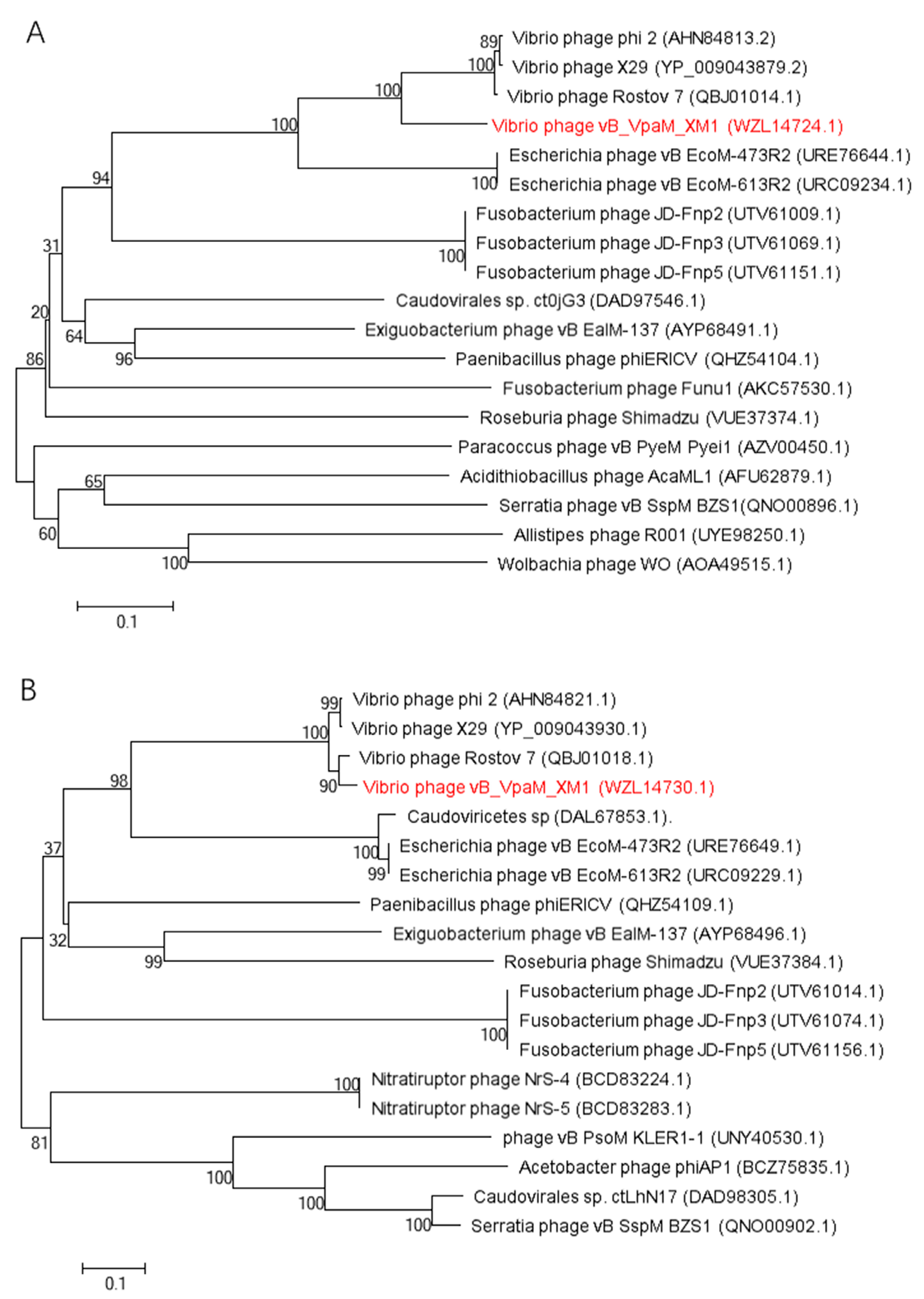 Marinedrugs 22 00429 g008