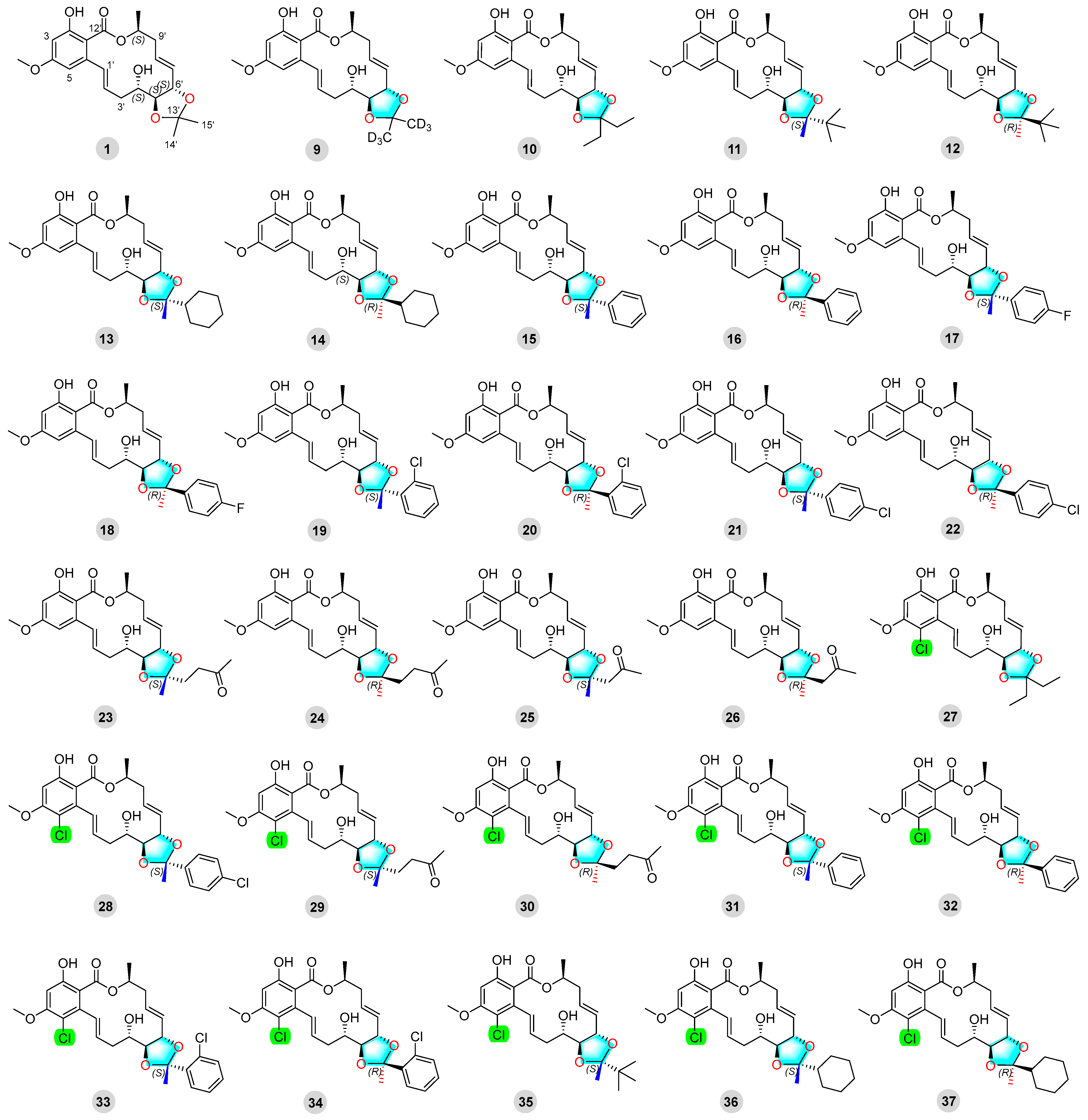 Marinedrugs 22 00431 g002