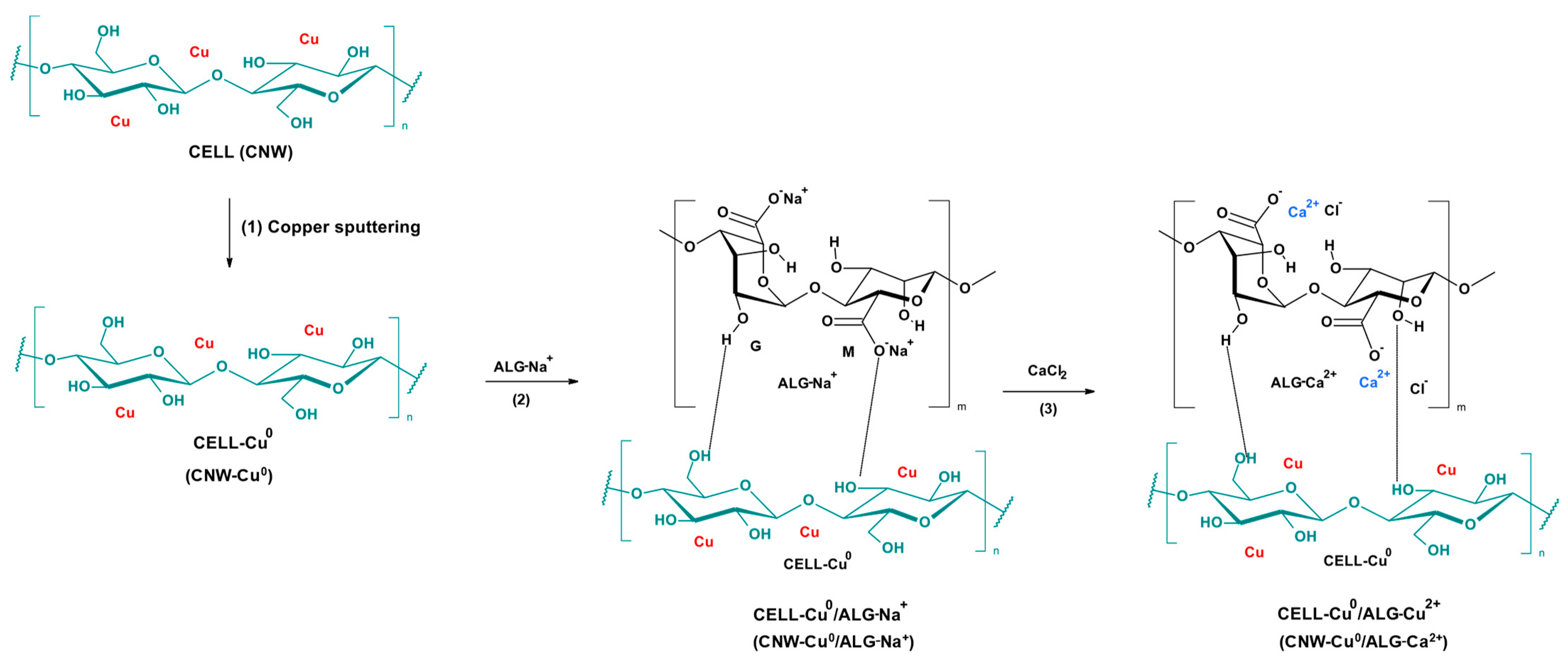 Marinedrugs 22 00436 g001